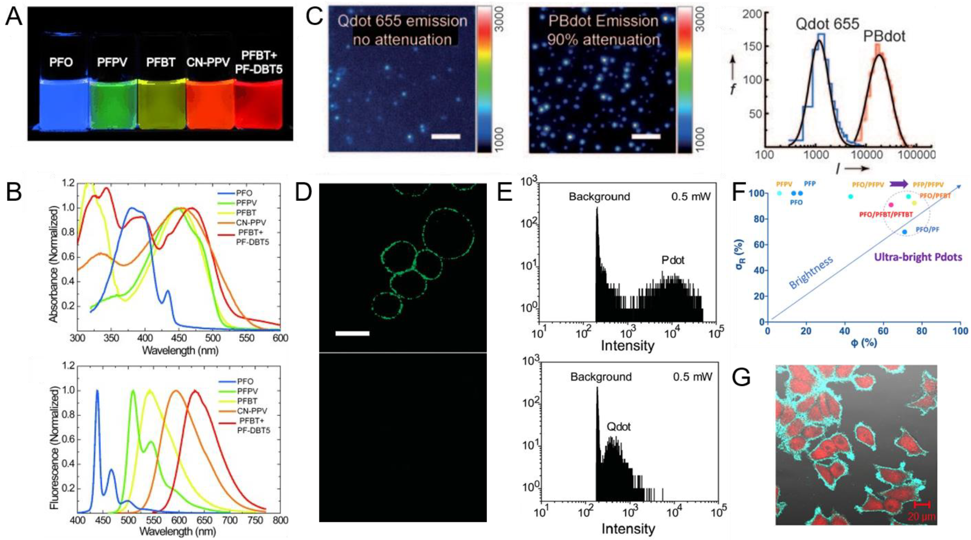 Biosensors 13 00137 g003