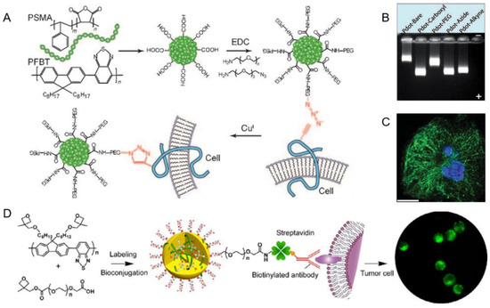 Biosensors 13 00137 g004