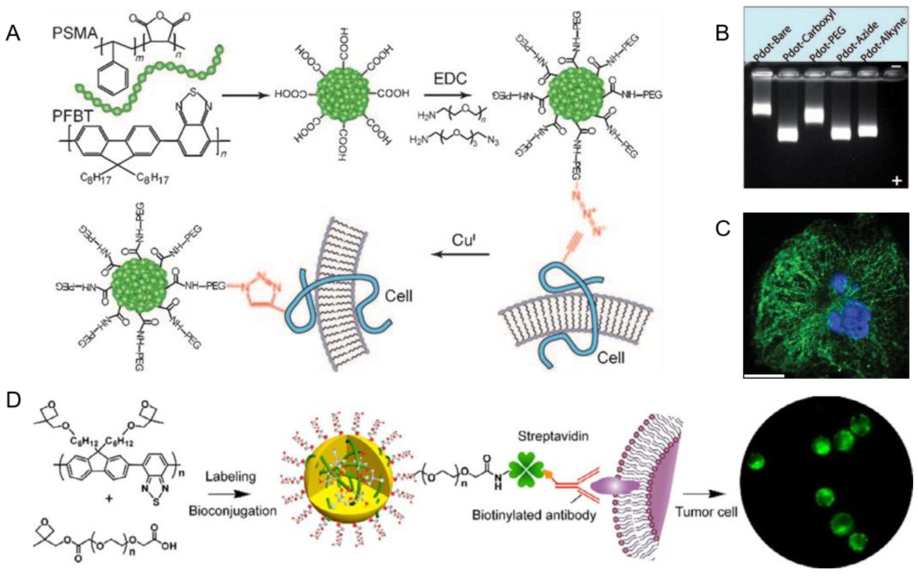 Biosensors 13 00137 g004