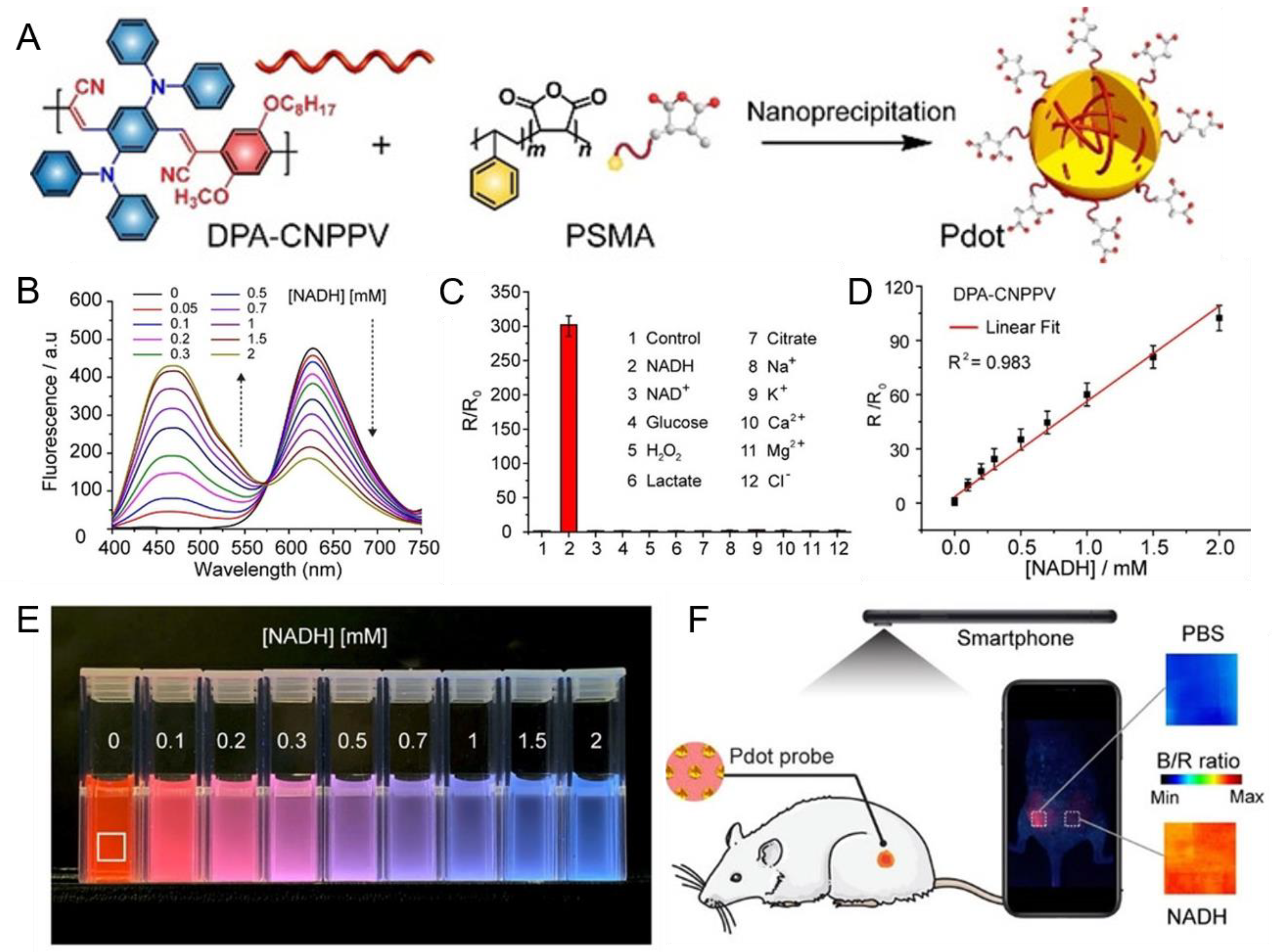 Biosensors 13 00137 g005