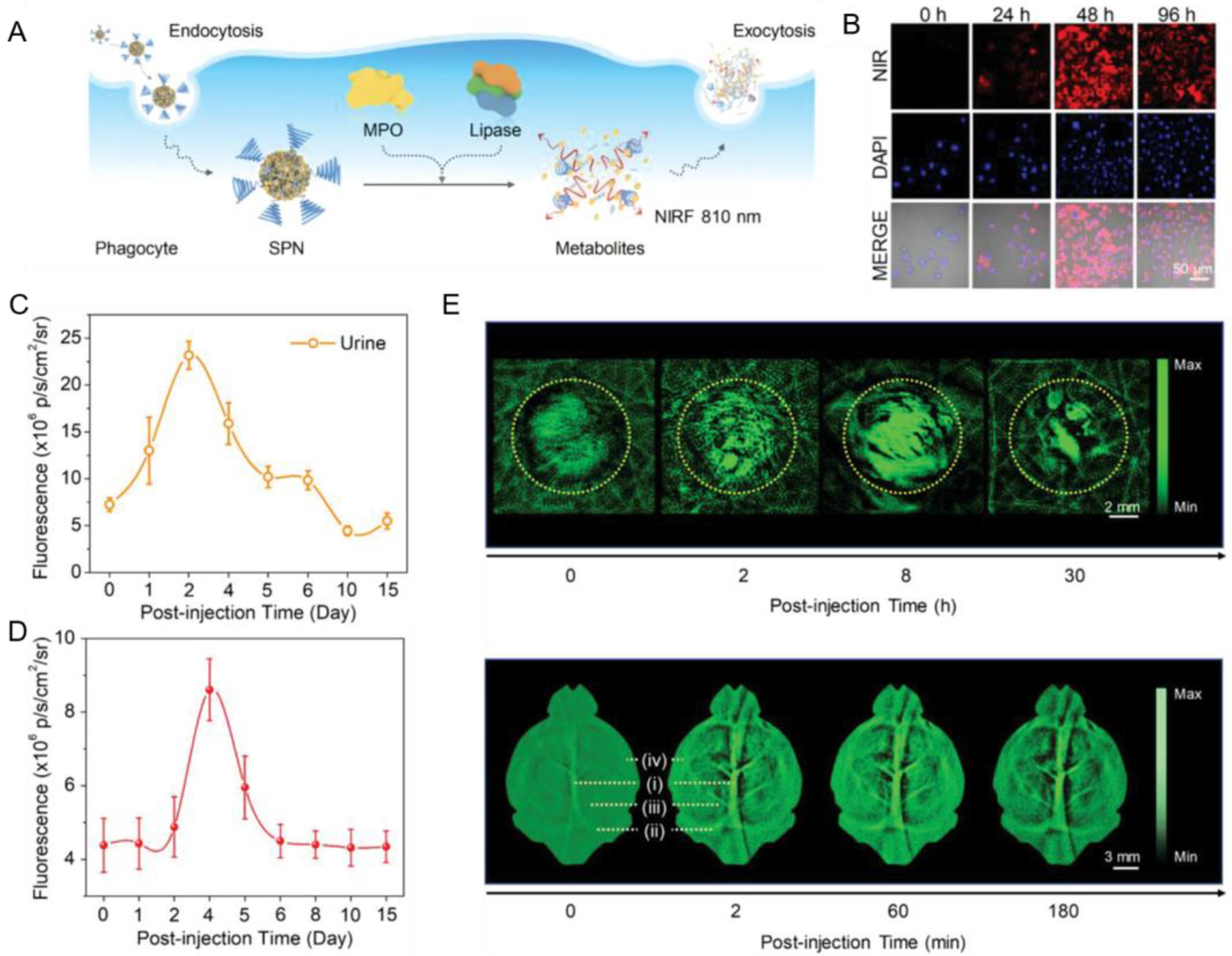 Biosensors 13 00137 g009