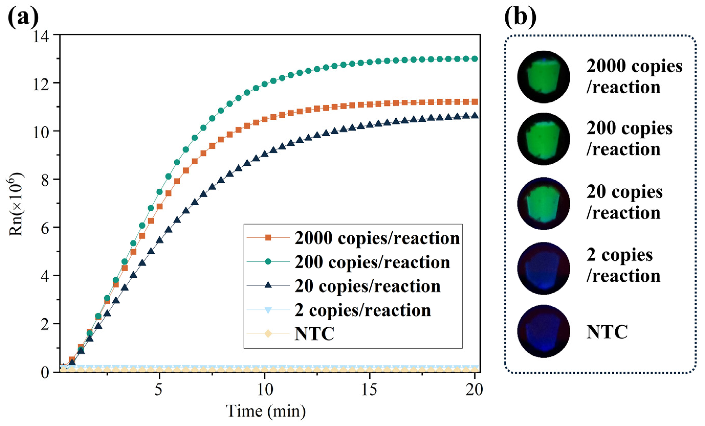 Biosensors 13 00138 g003