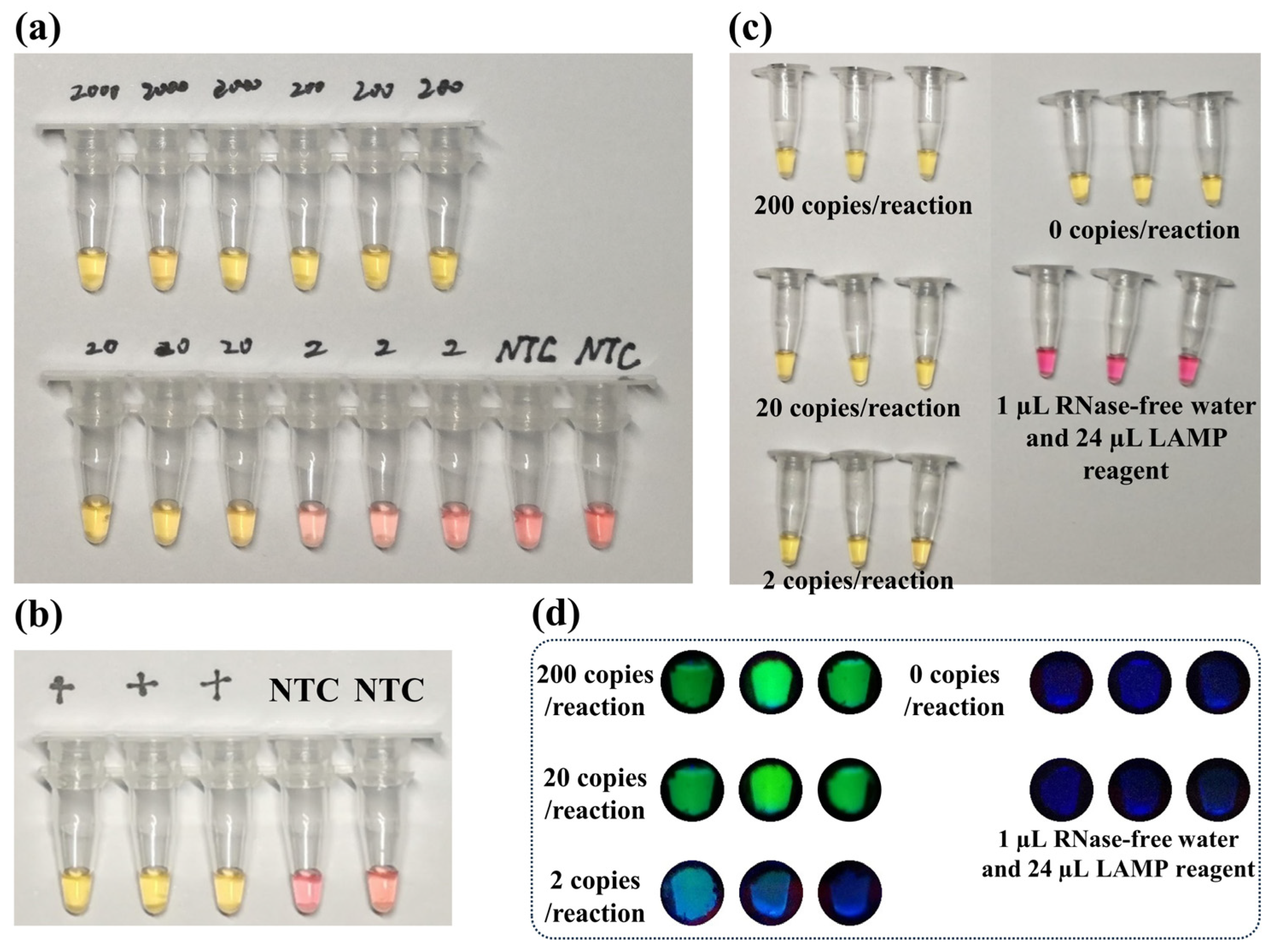 Biosensors 13 00138 g004