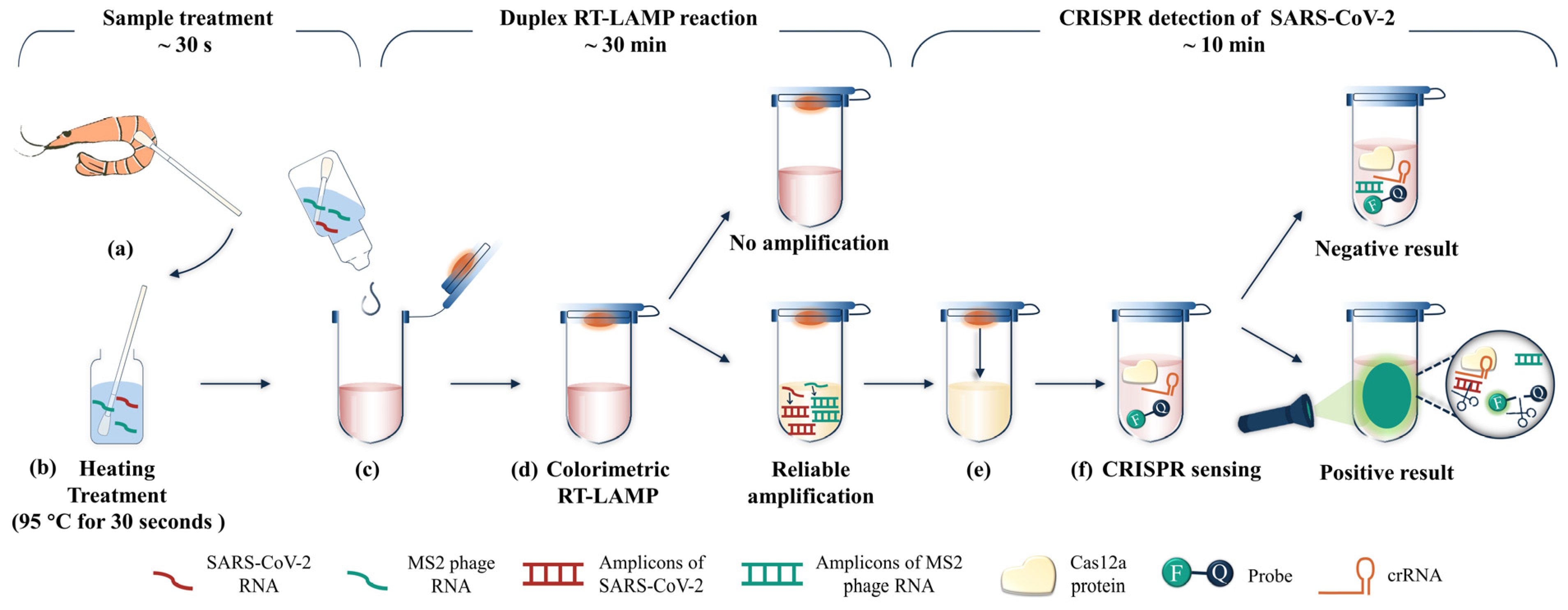 Biosensors 13 00138 g005