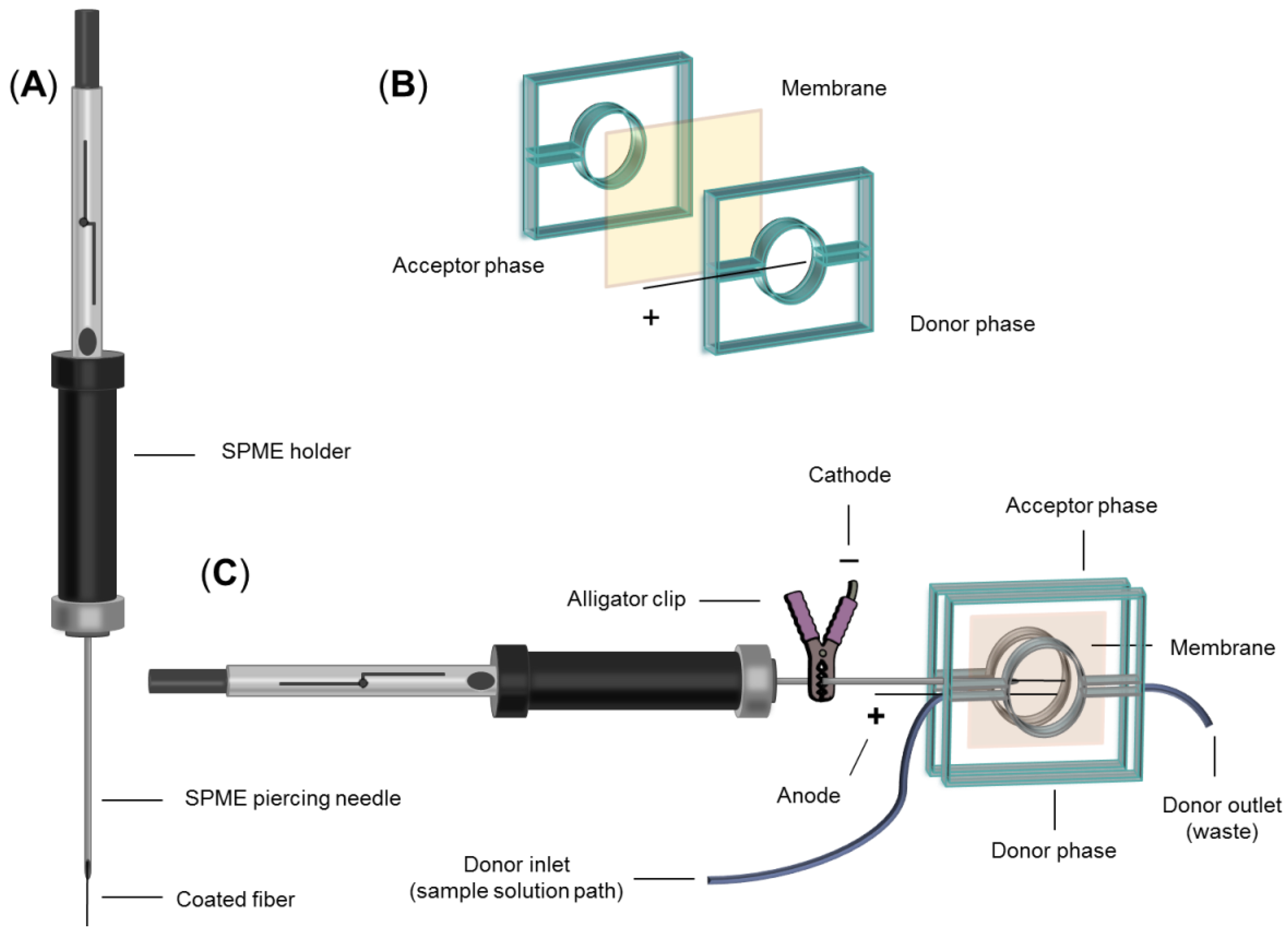 Biosensors 13 00139 g002