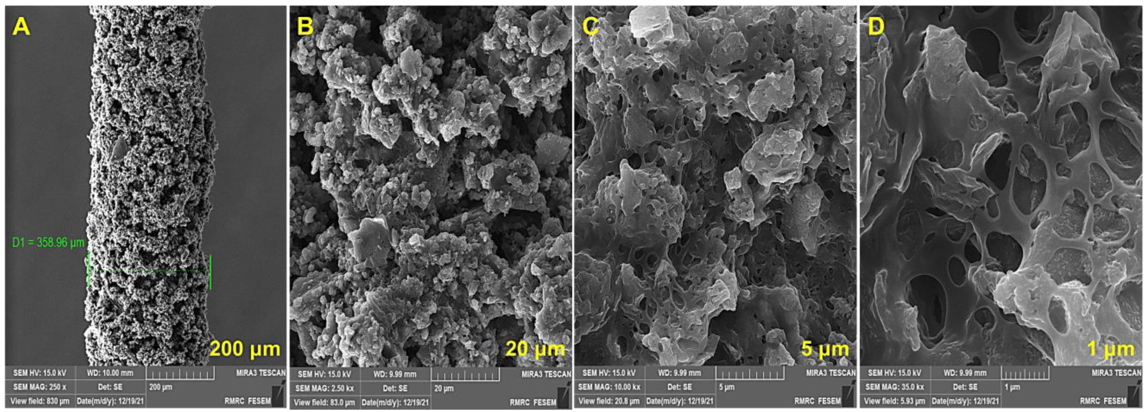 Biosensors 13 00139 g003