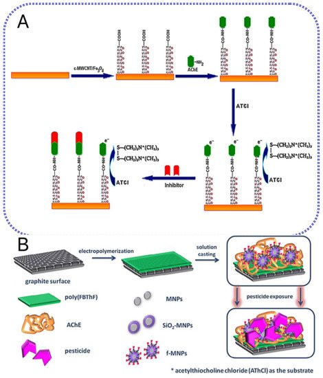 Biosensors 13 00140 g001