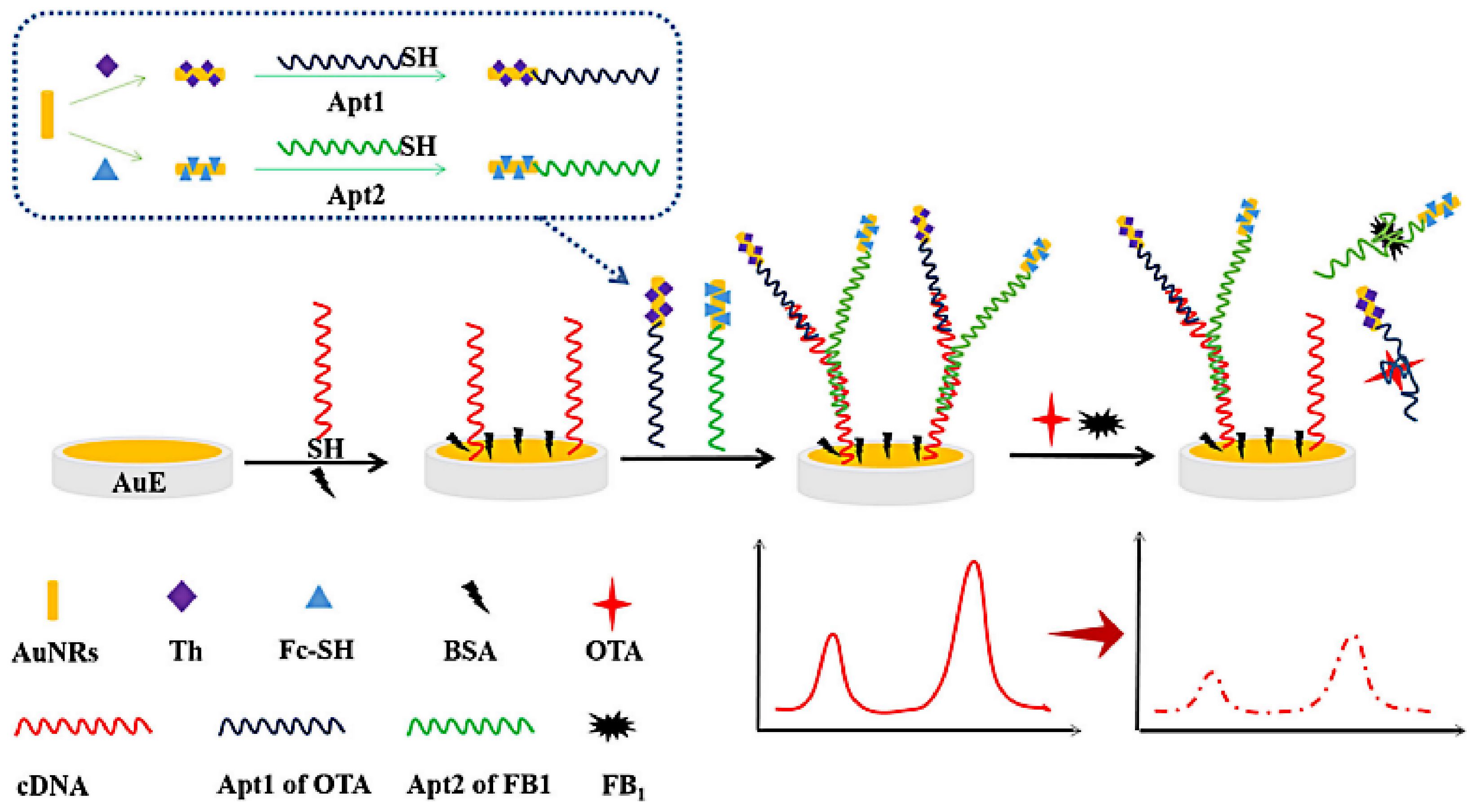Biosensors 13 00140 g004
