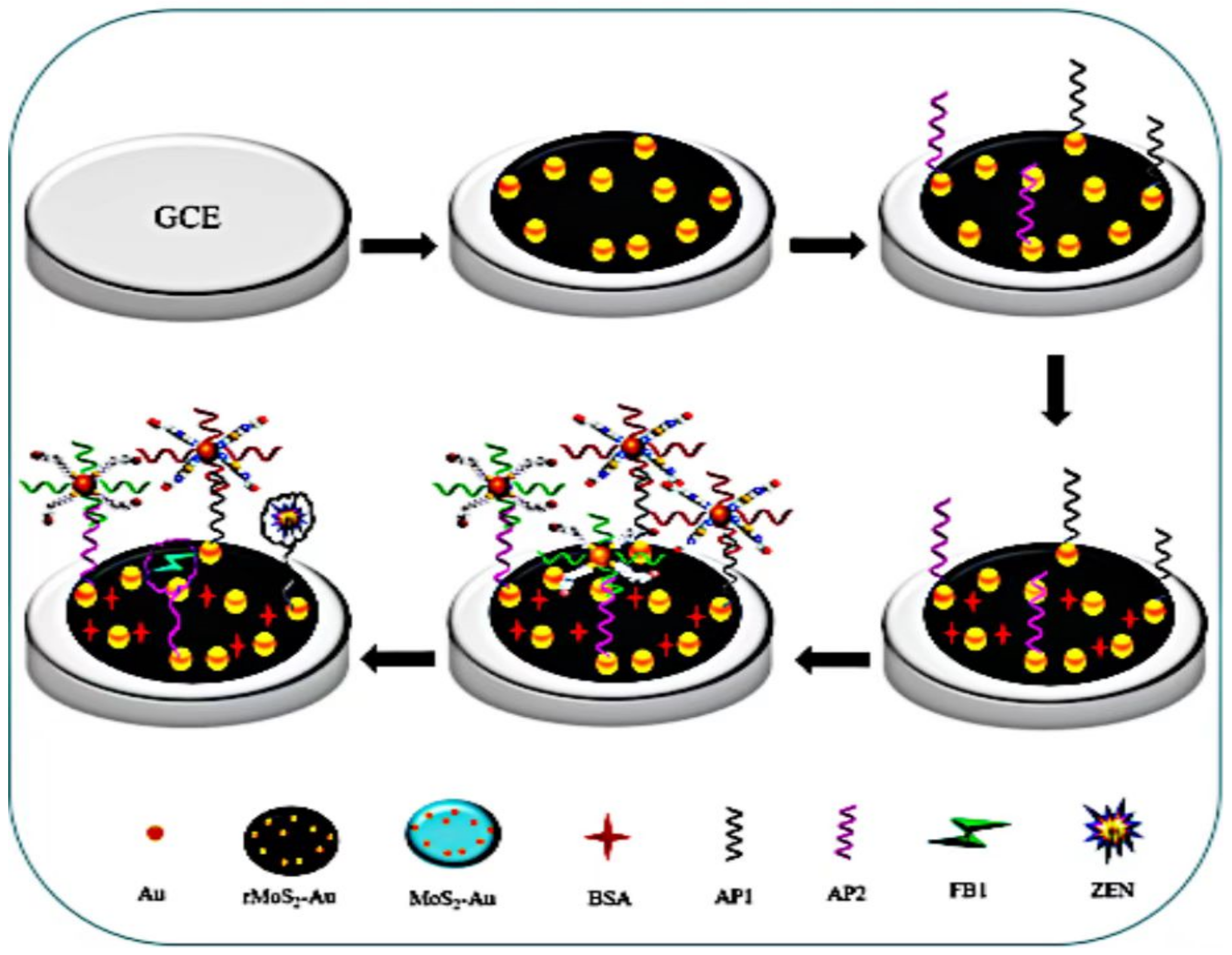 Biosensors 13 00140 g006
