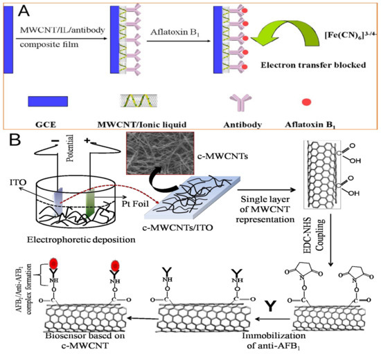 Biosensors 13 00140 g007