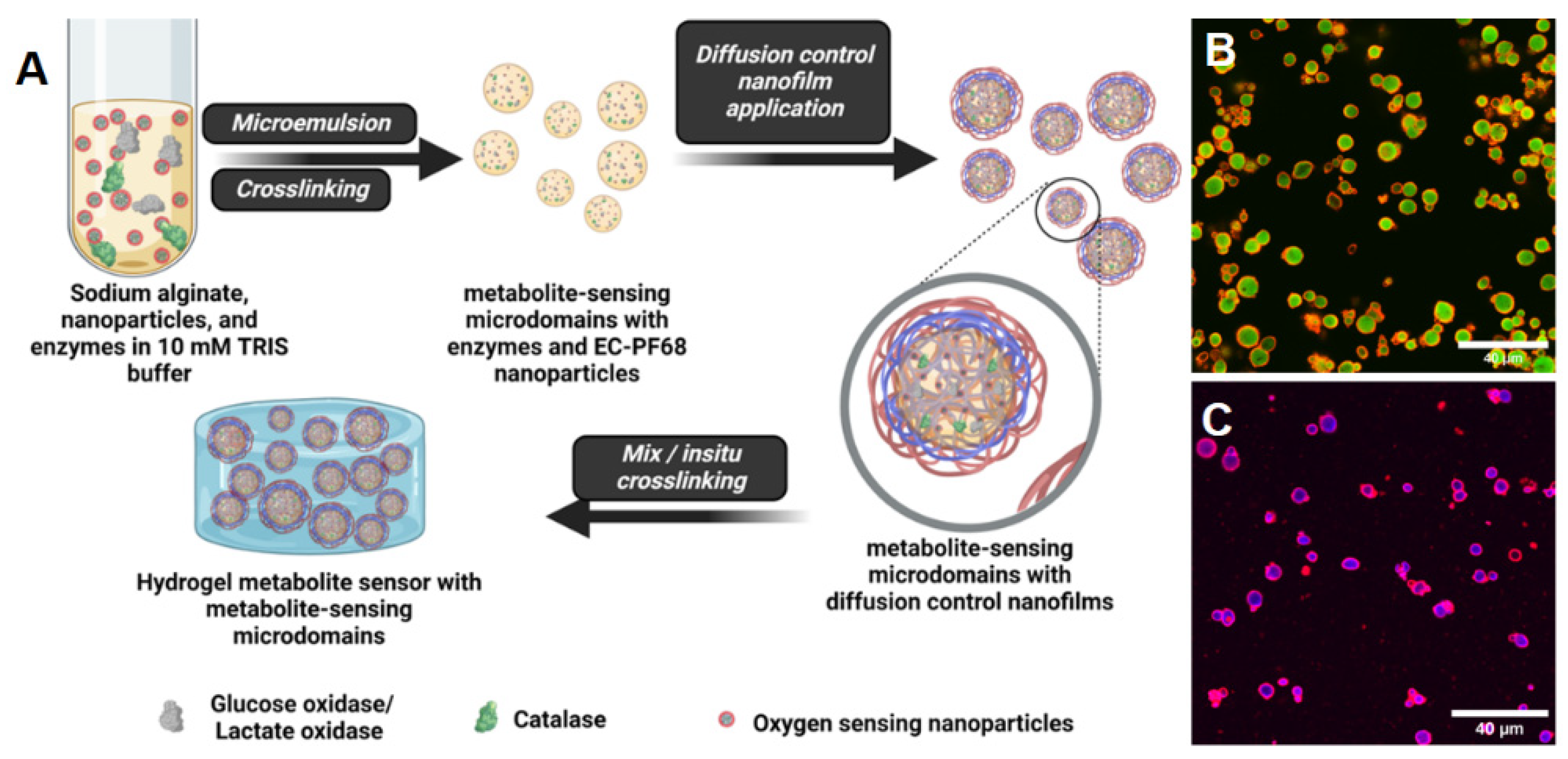 Biosensors 13 00141 g007
