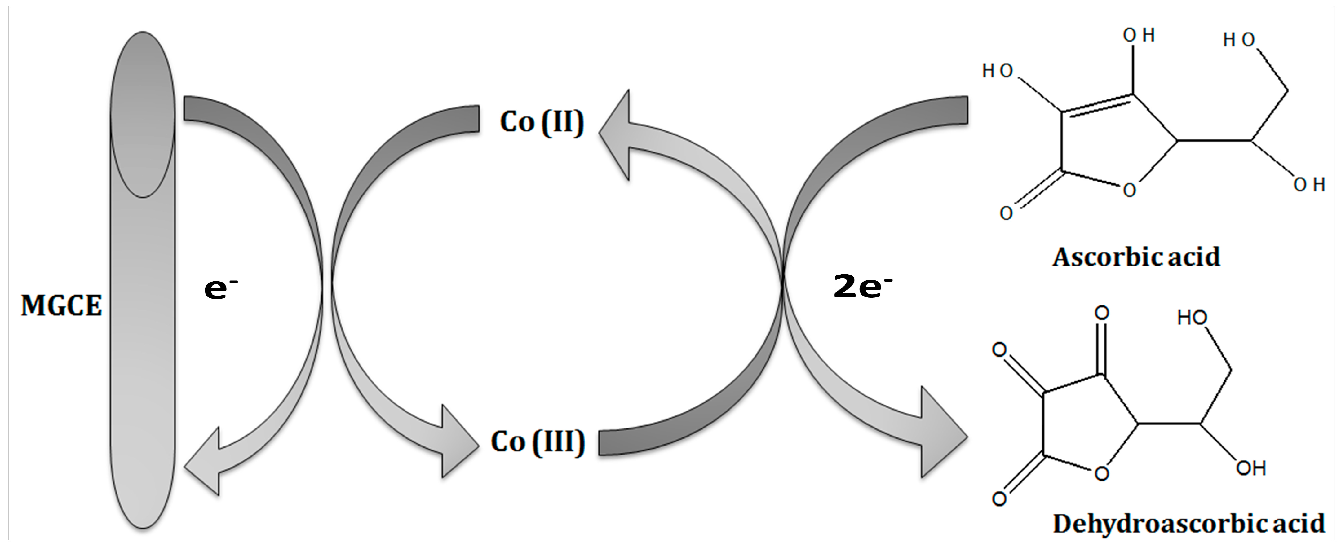 Biosensors 13 00147 g002