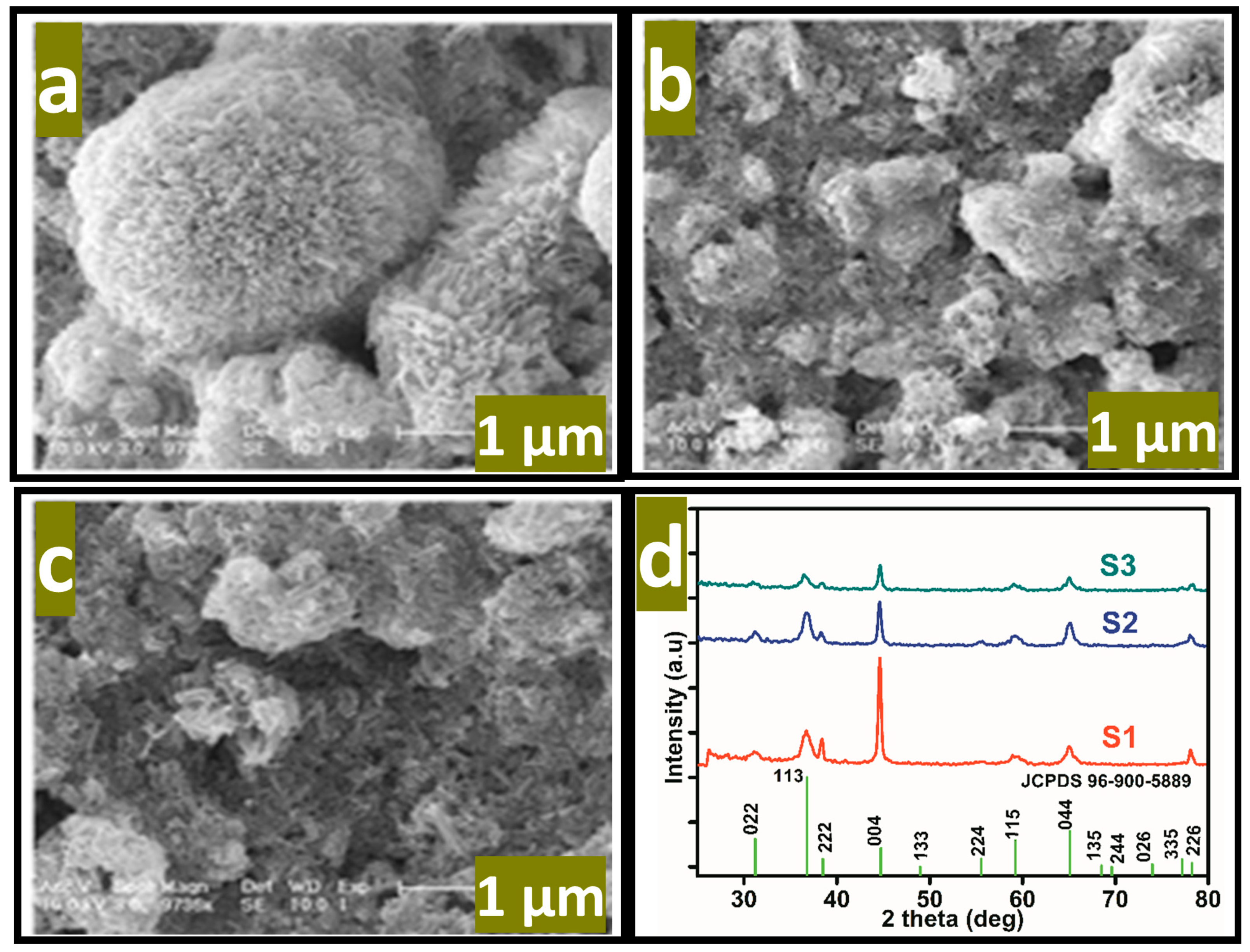 Biosensors 13 00147 g003