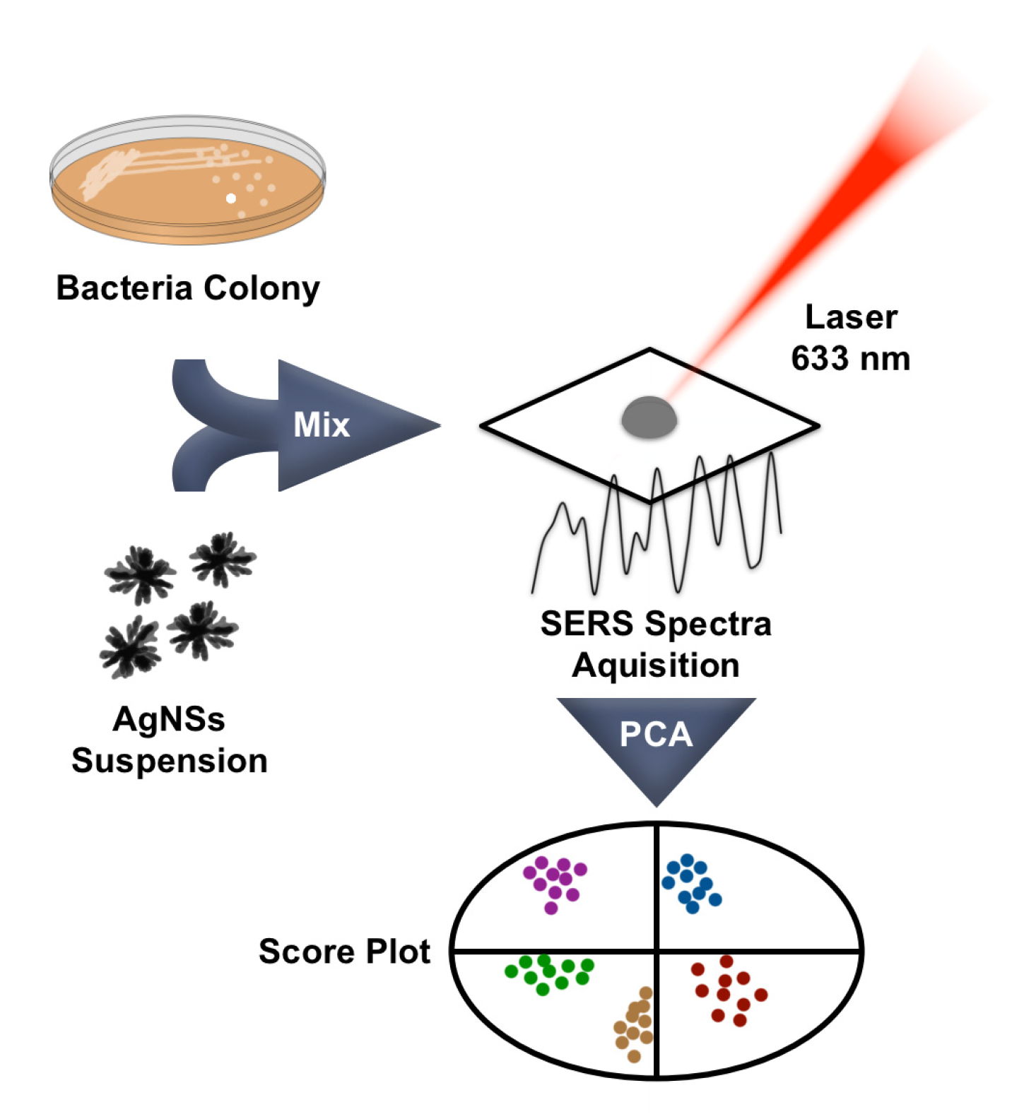 Biosensors 13 00149 g001