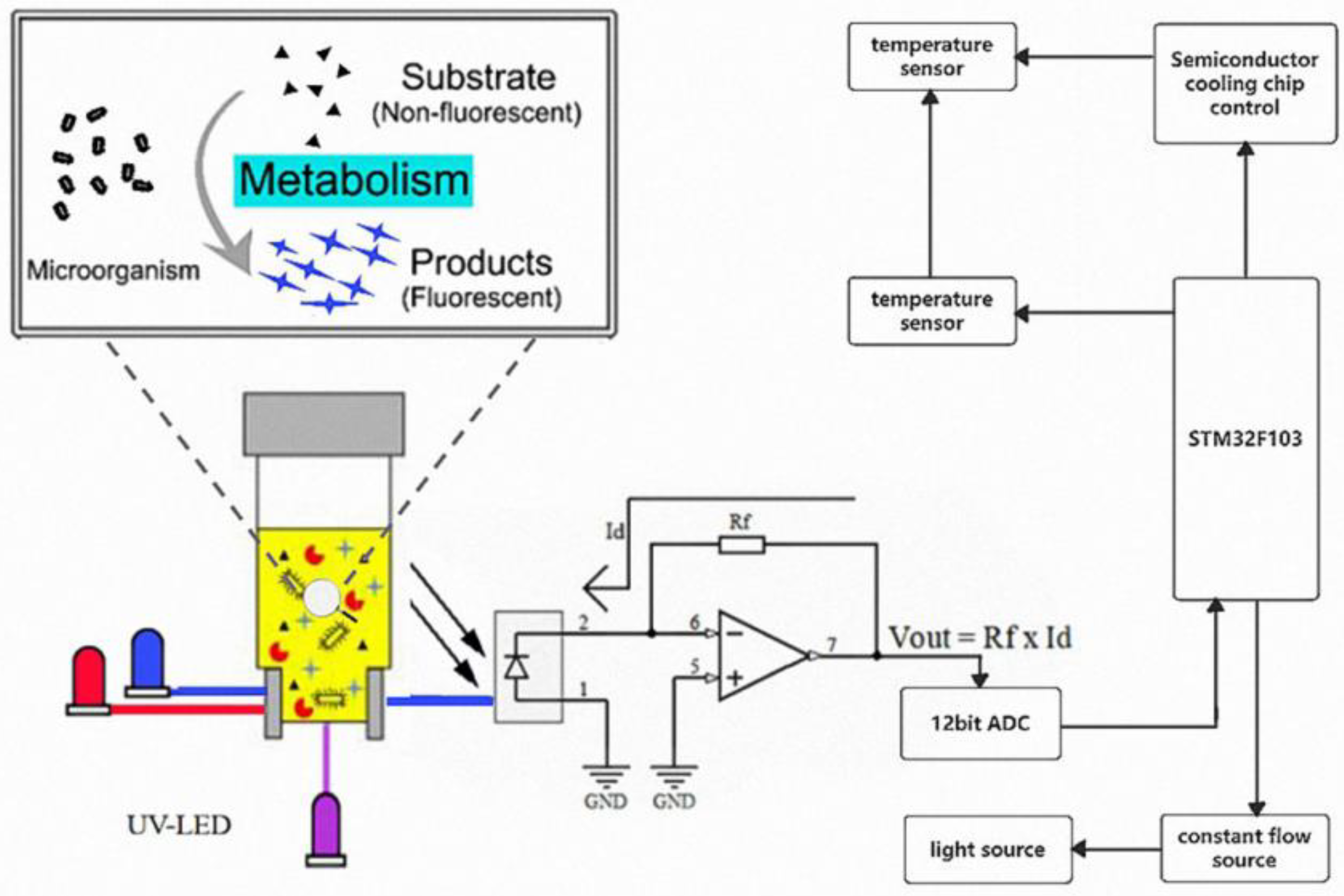 Biosensors 13 00150 g001