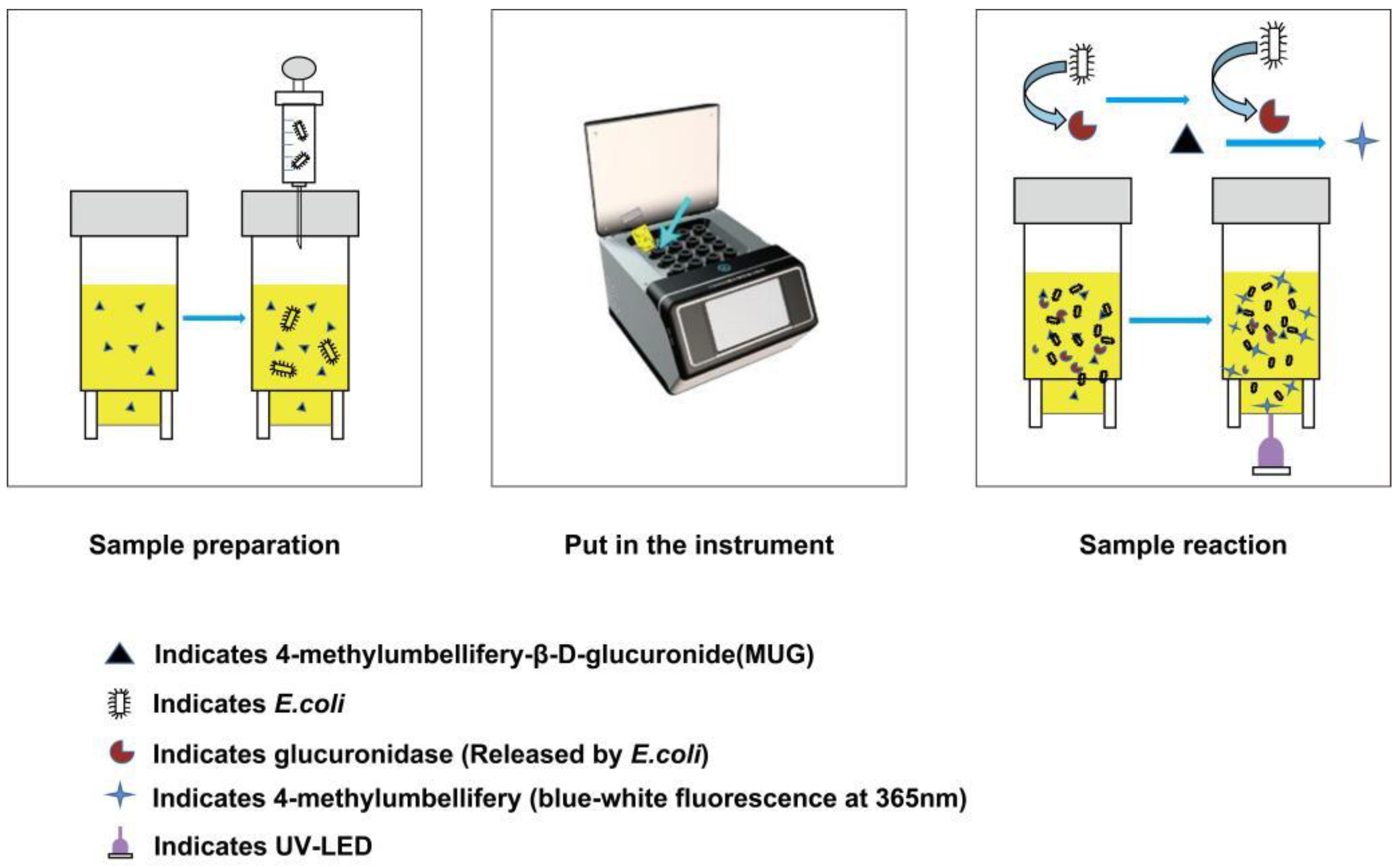 Biosensors 13 00150 g002