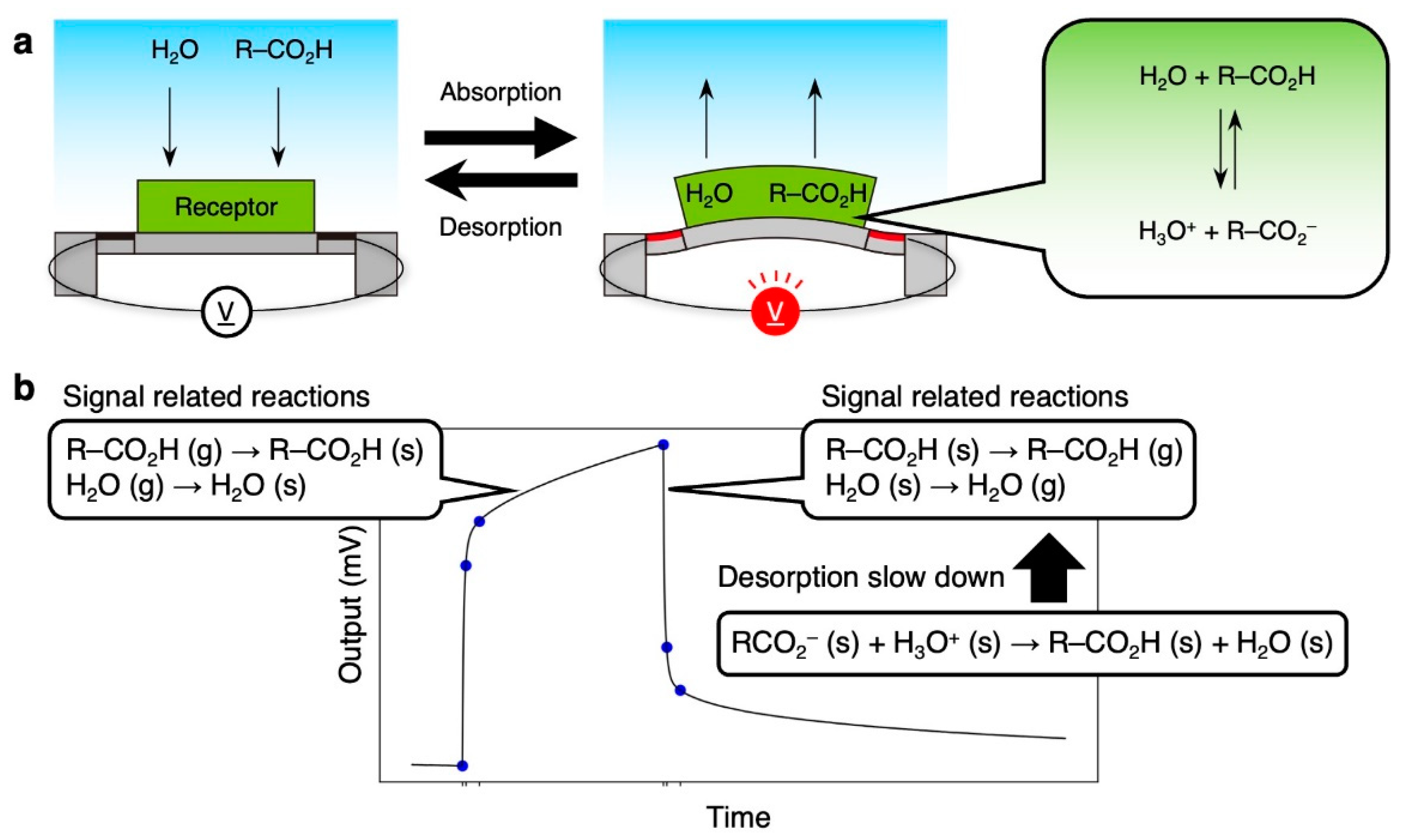 Biosensors 13 00152 g008