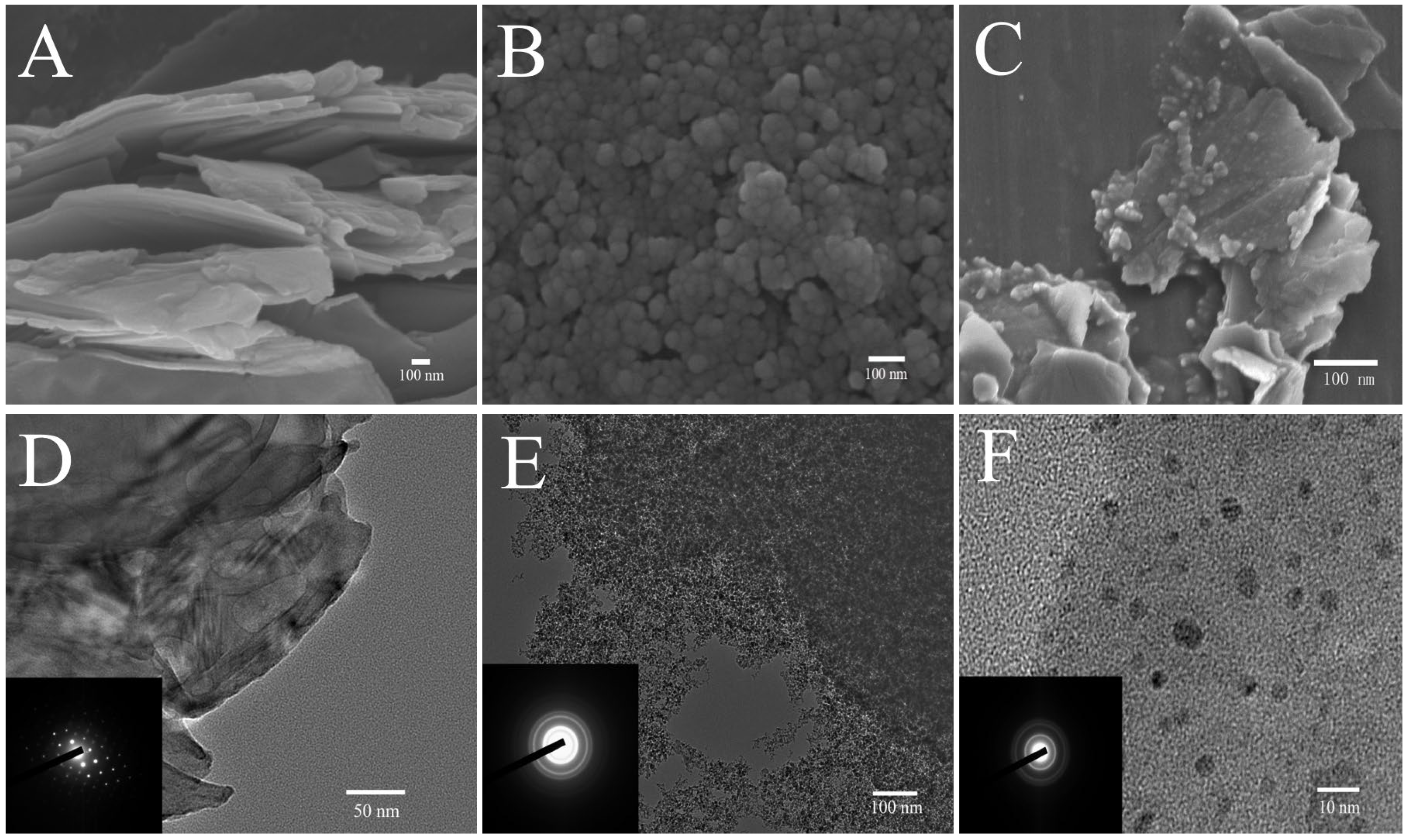 Biosensors 13 00153 g001