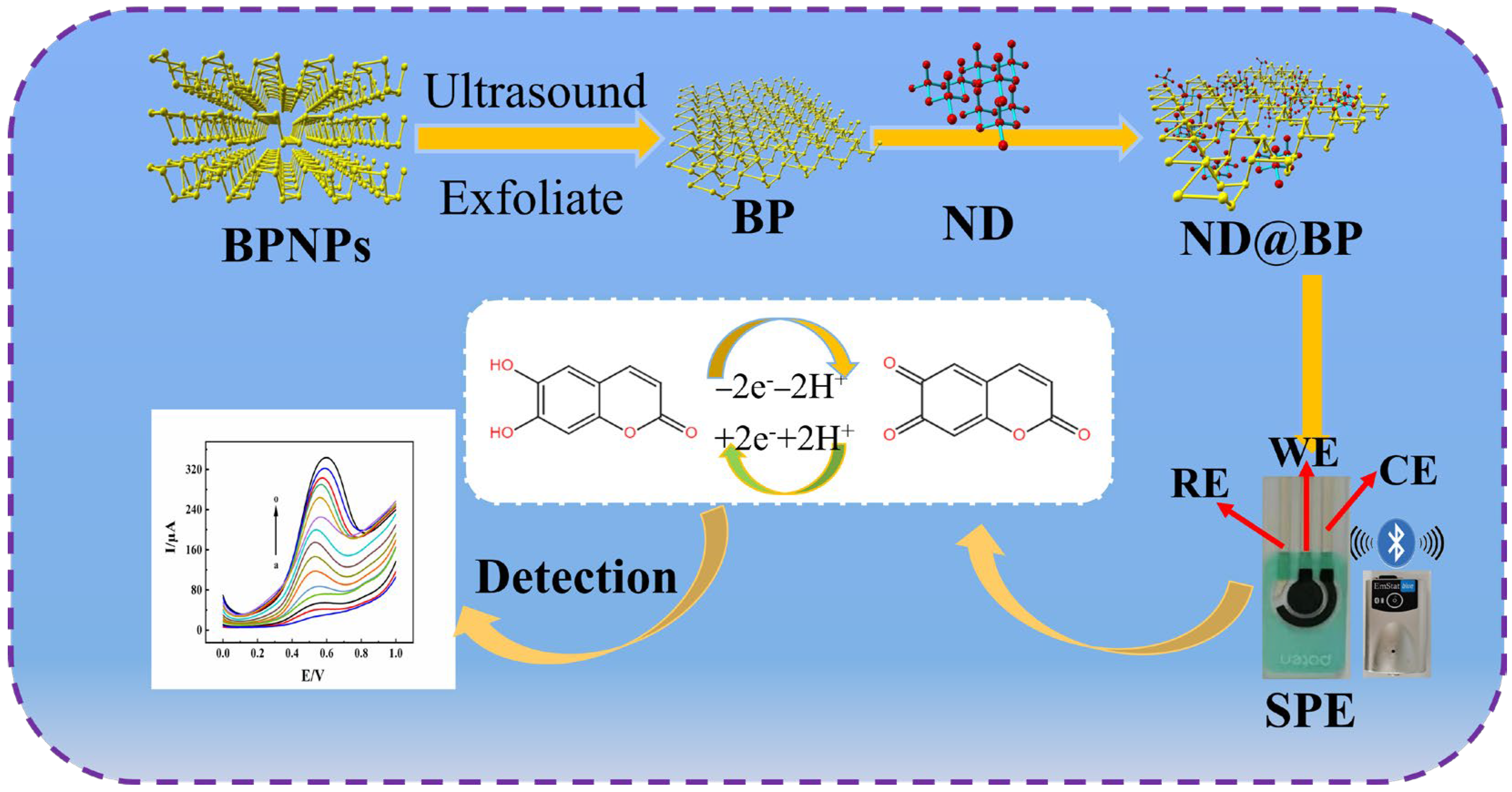 Biosensors 13 00153 sch001