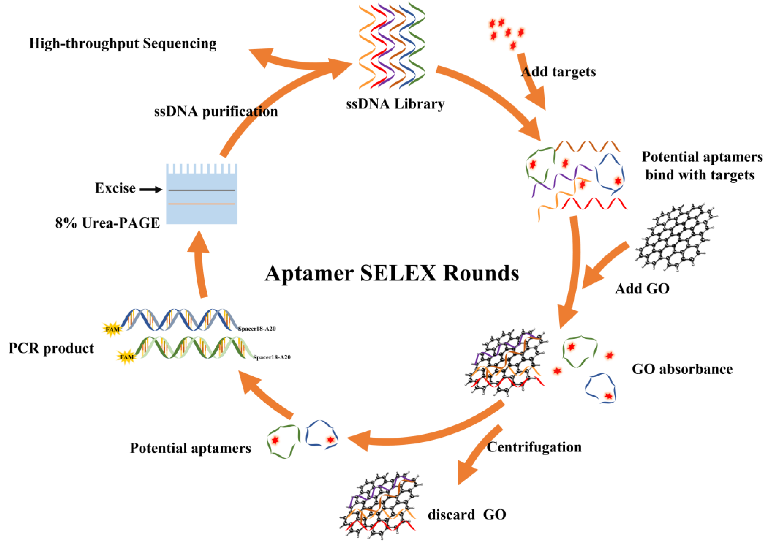 Biosensors 13 00155 g001 Biosensors 13 00155 g001