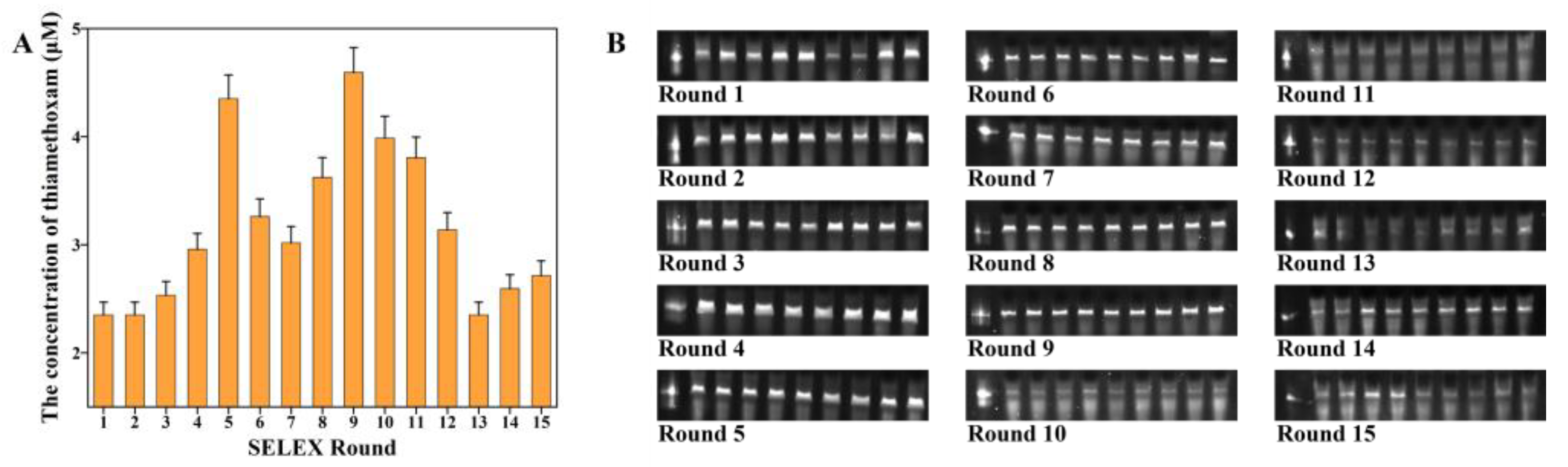 Biosensors 13 00155 g003 Biosensors 13 00155 g003