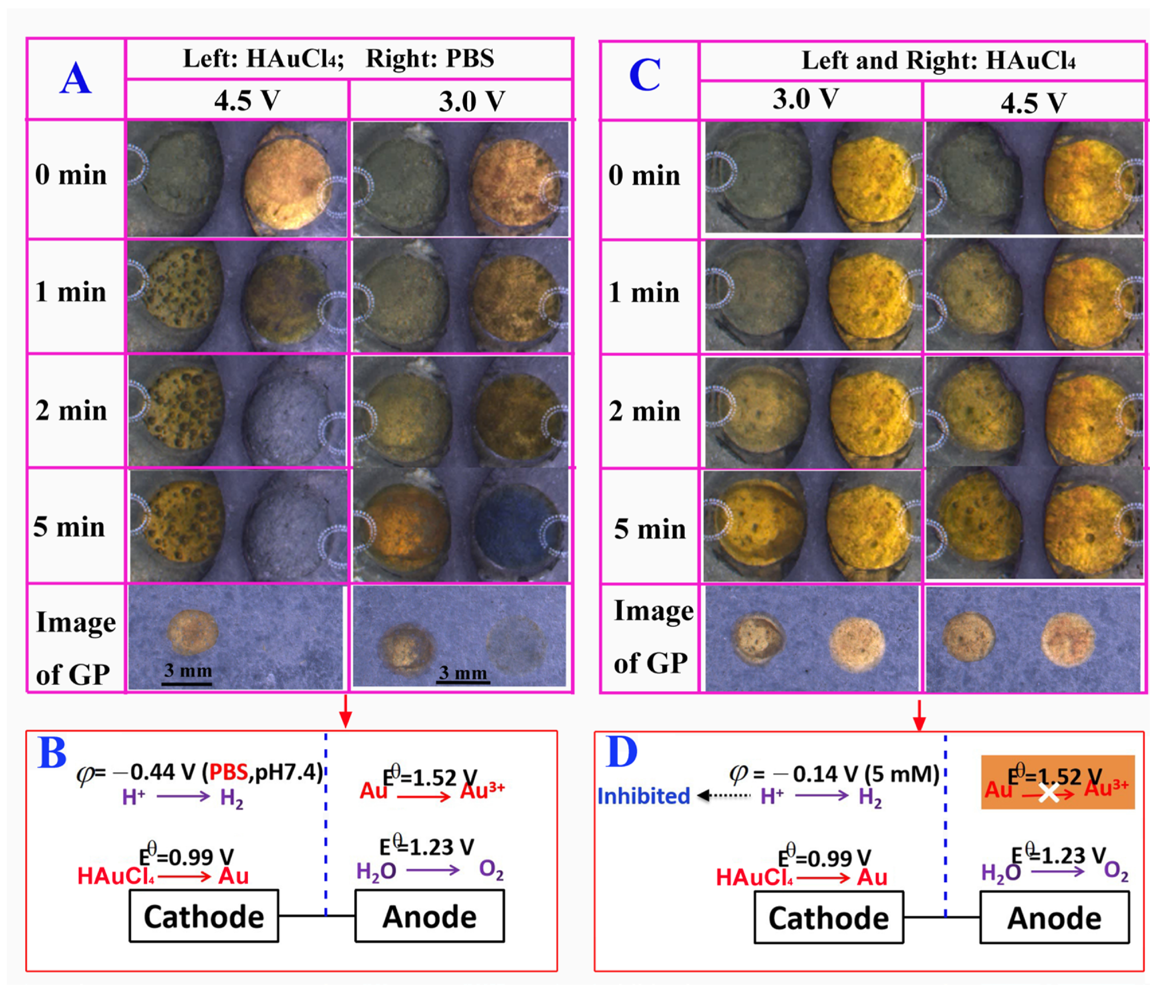 Biosensors 13 00158 g002