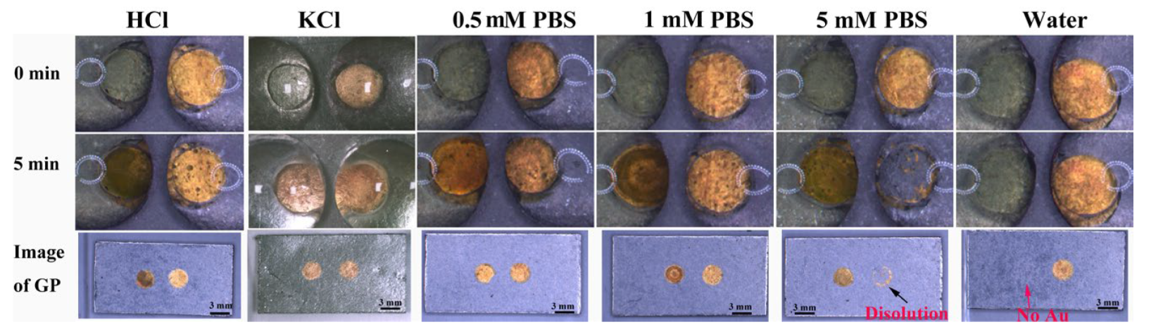 Biosensors 13 00158 g003