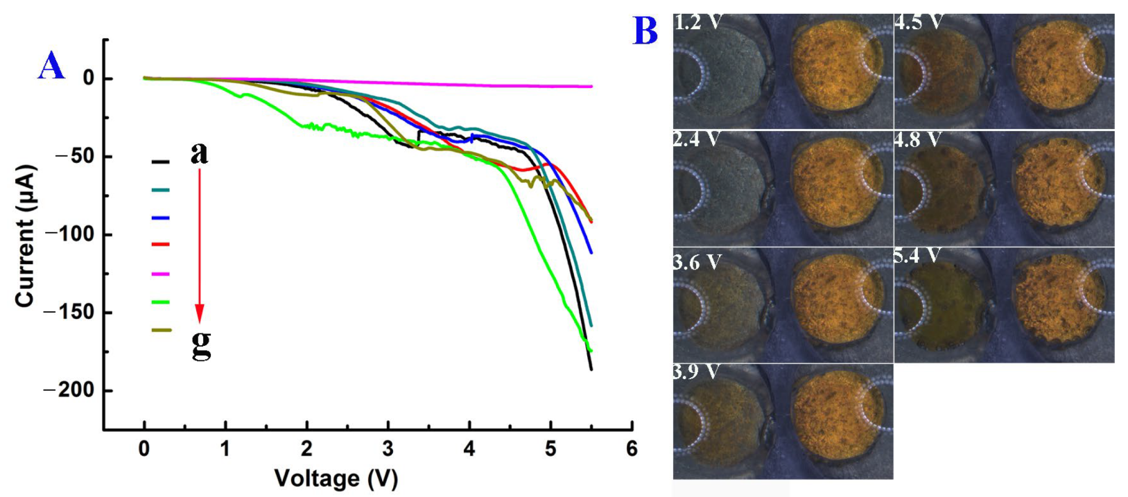 Biosensors 13 00158 g004