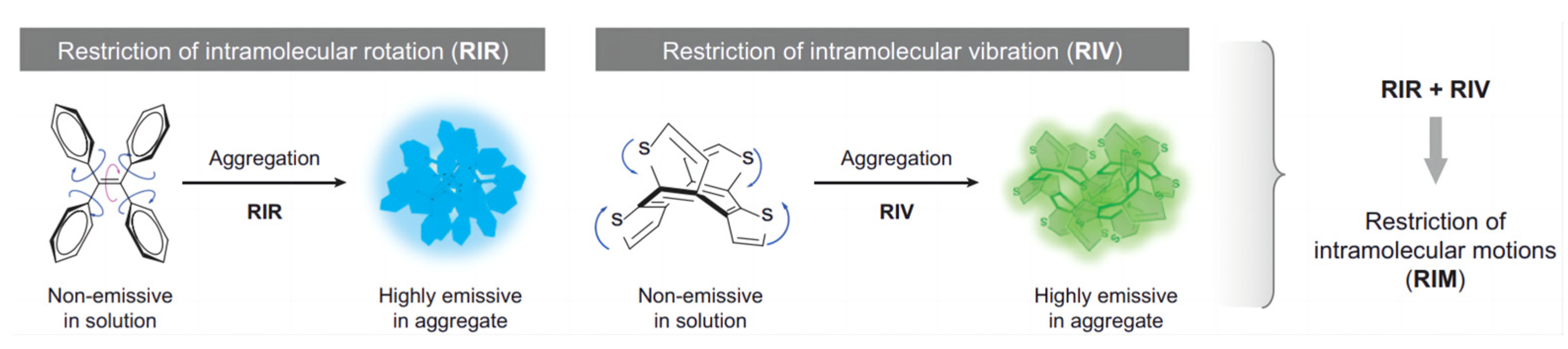 Biosensors 13 00159 g001 Biosensors 13 00159 g001