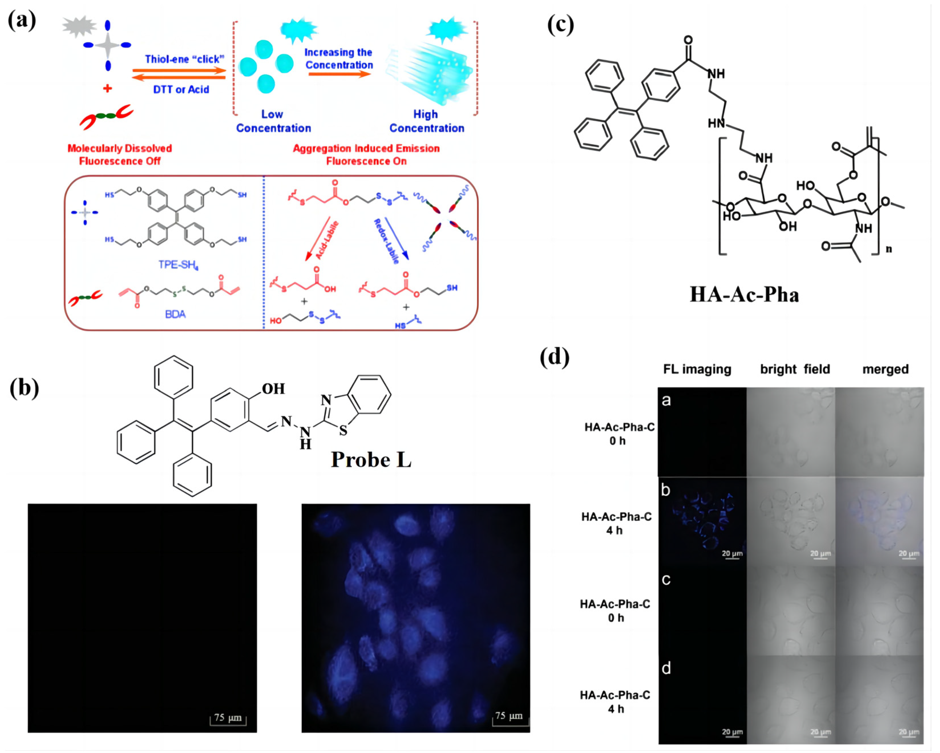 Biosensors 13 00159 g003 Biosensors 13 00159 g003