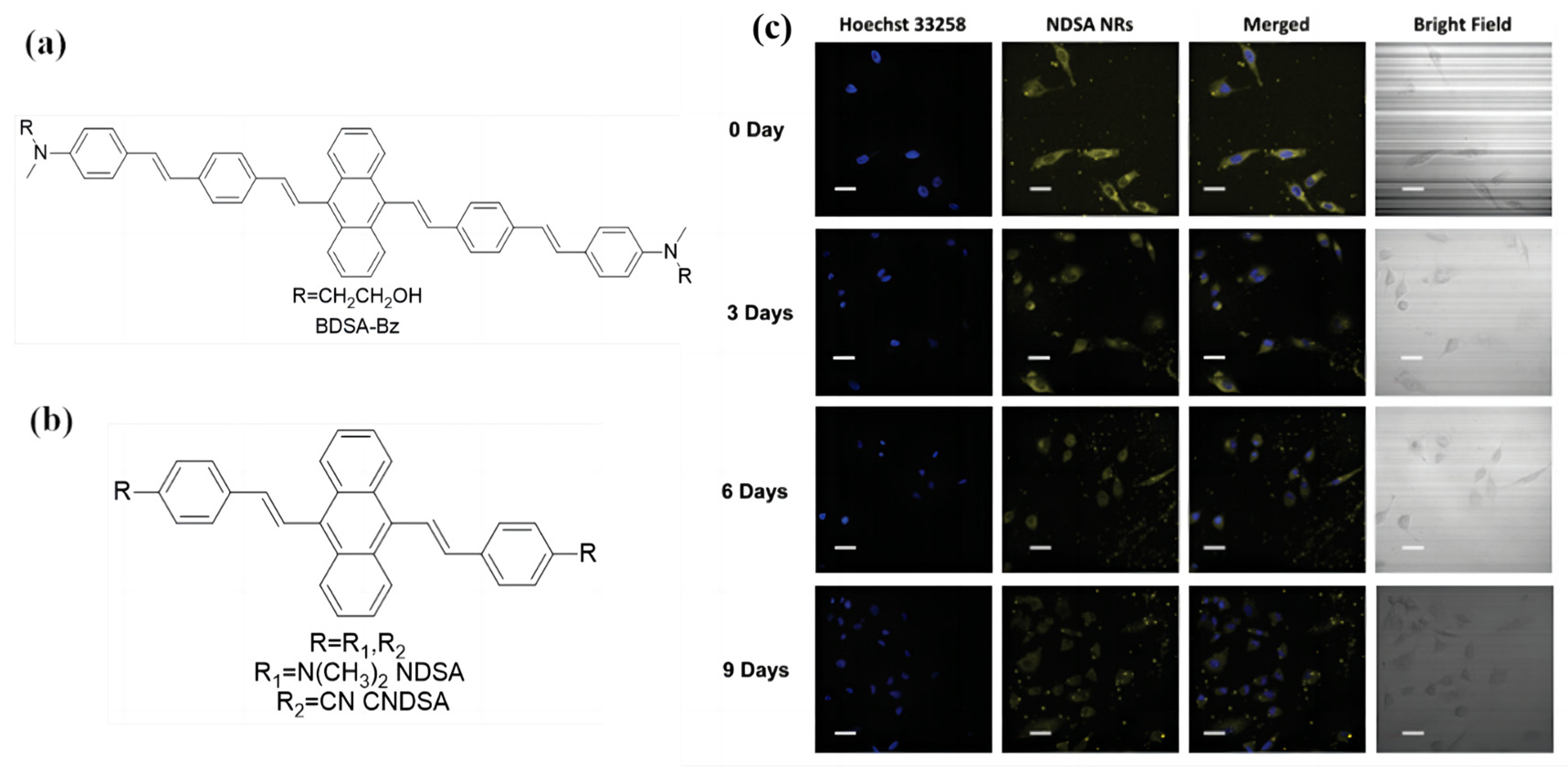 Biosensors 13 00159 g004 Biosensors 13 00159 g004