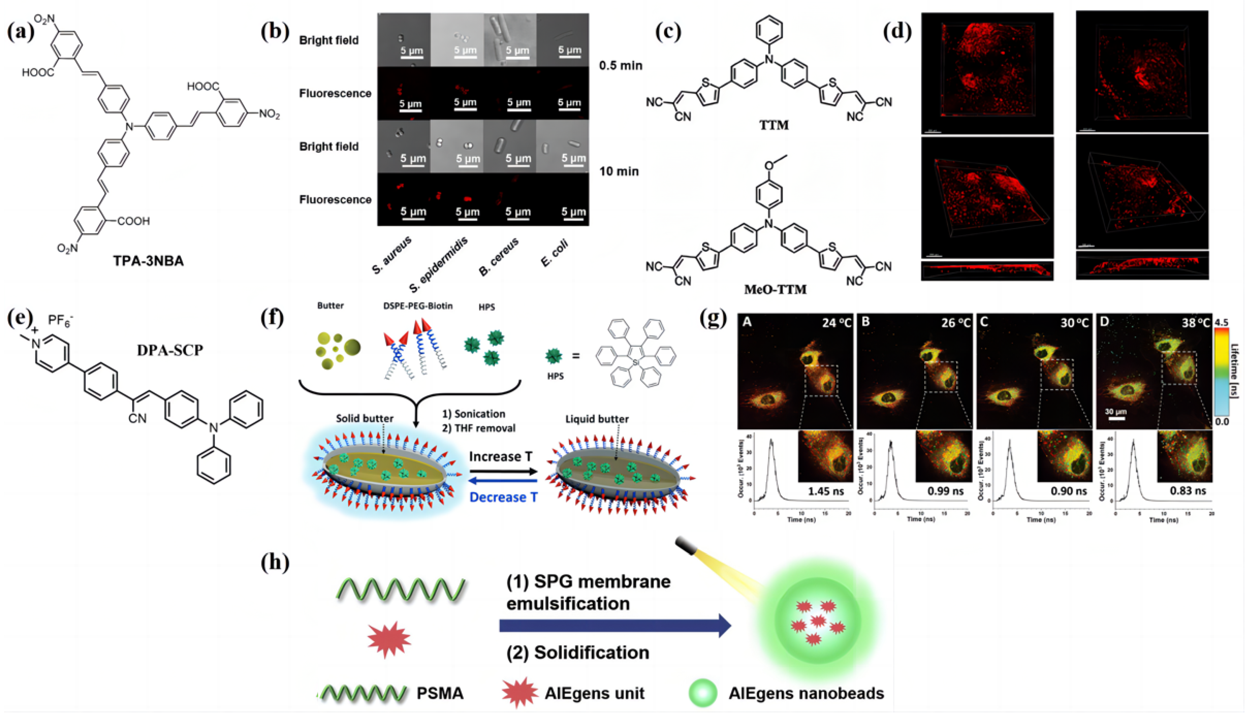 Biosensors 13 00159 g005 Biosensors 13 00159 g005