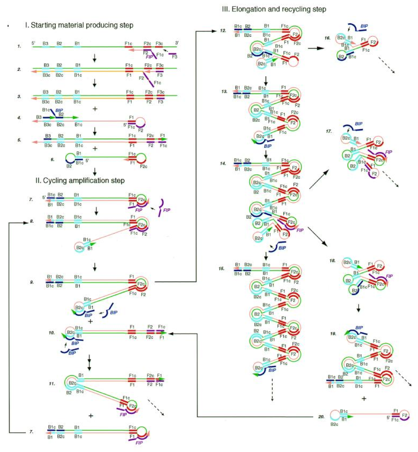 Biosensors 13 00160 g002
