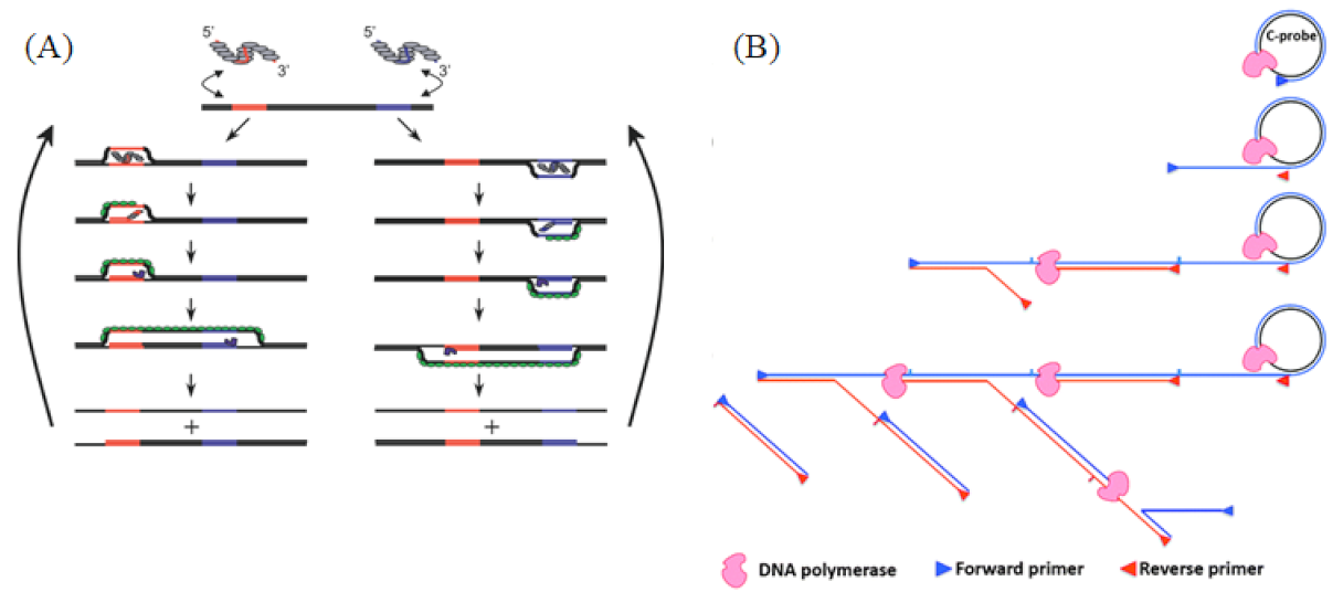 Biosensors 13 00160 g003