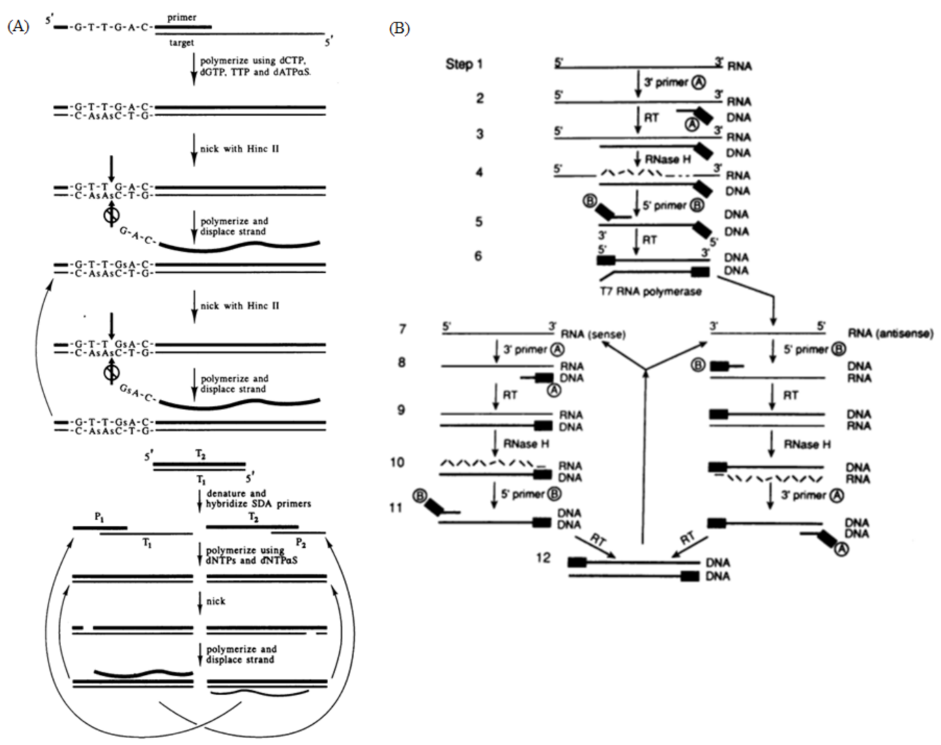 Biosensors 13 00160 g004