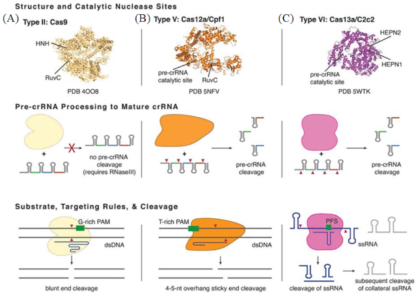 Biosensors 13 00160 g005
