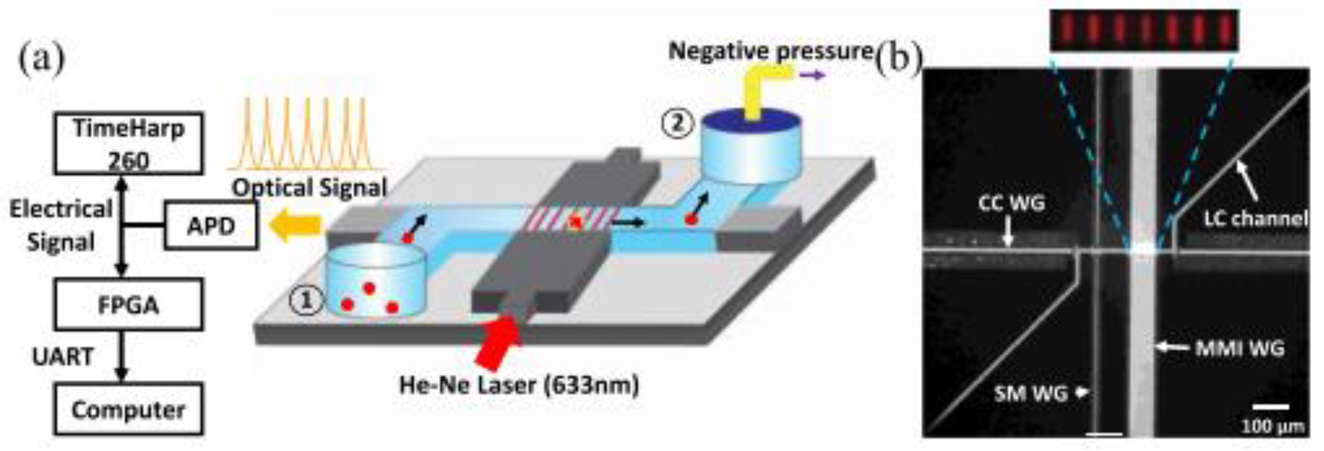 Biosensors 13 00163 g004