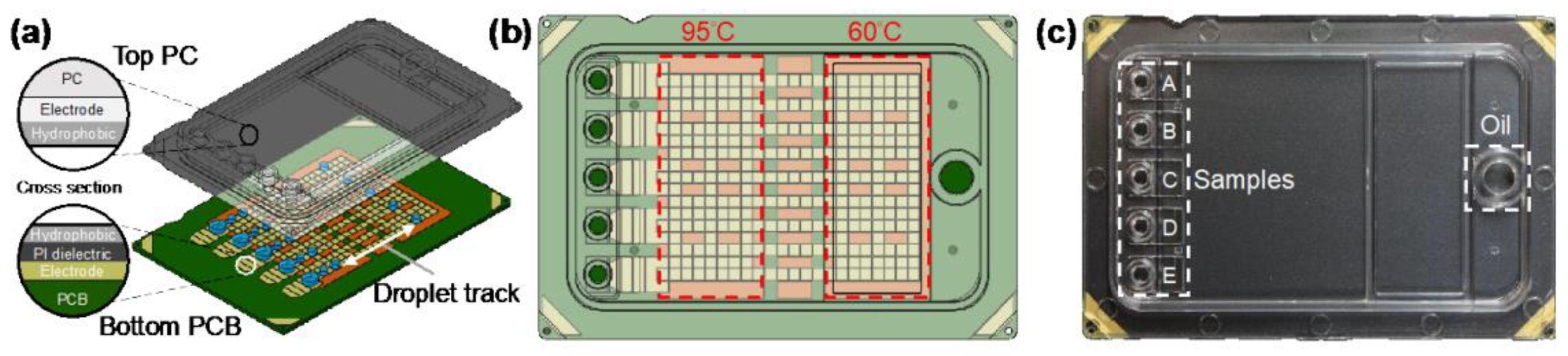 Biosensors 13 00163 g005