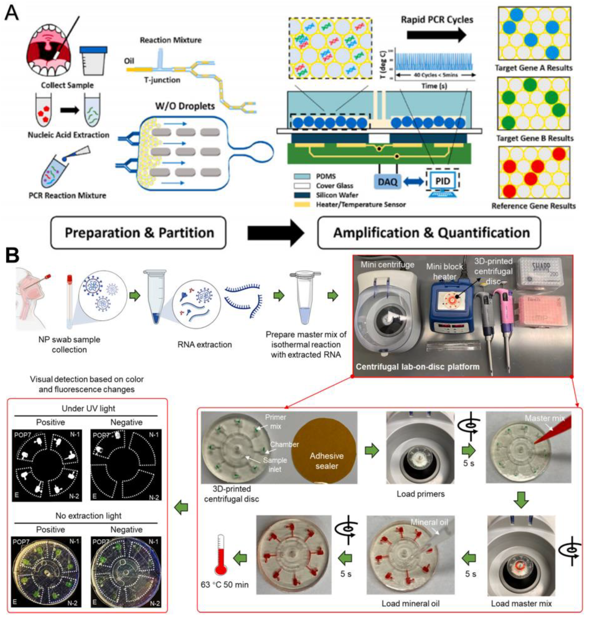 Biosensors 13 00163 g006