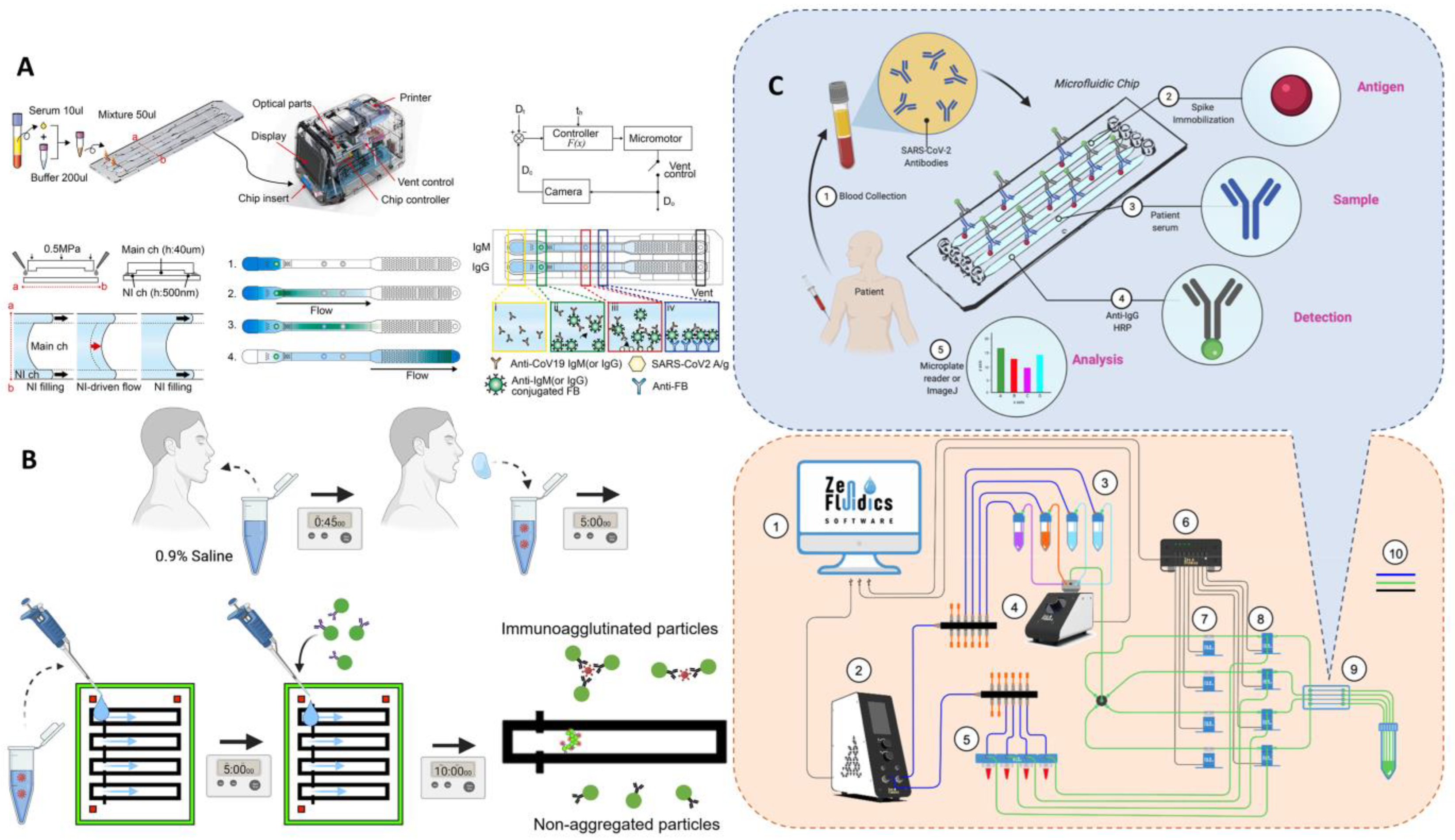 Biosensors 13 00163 g010