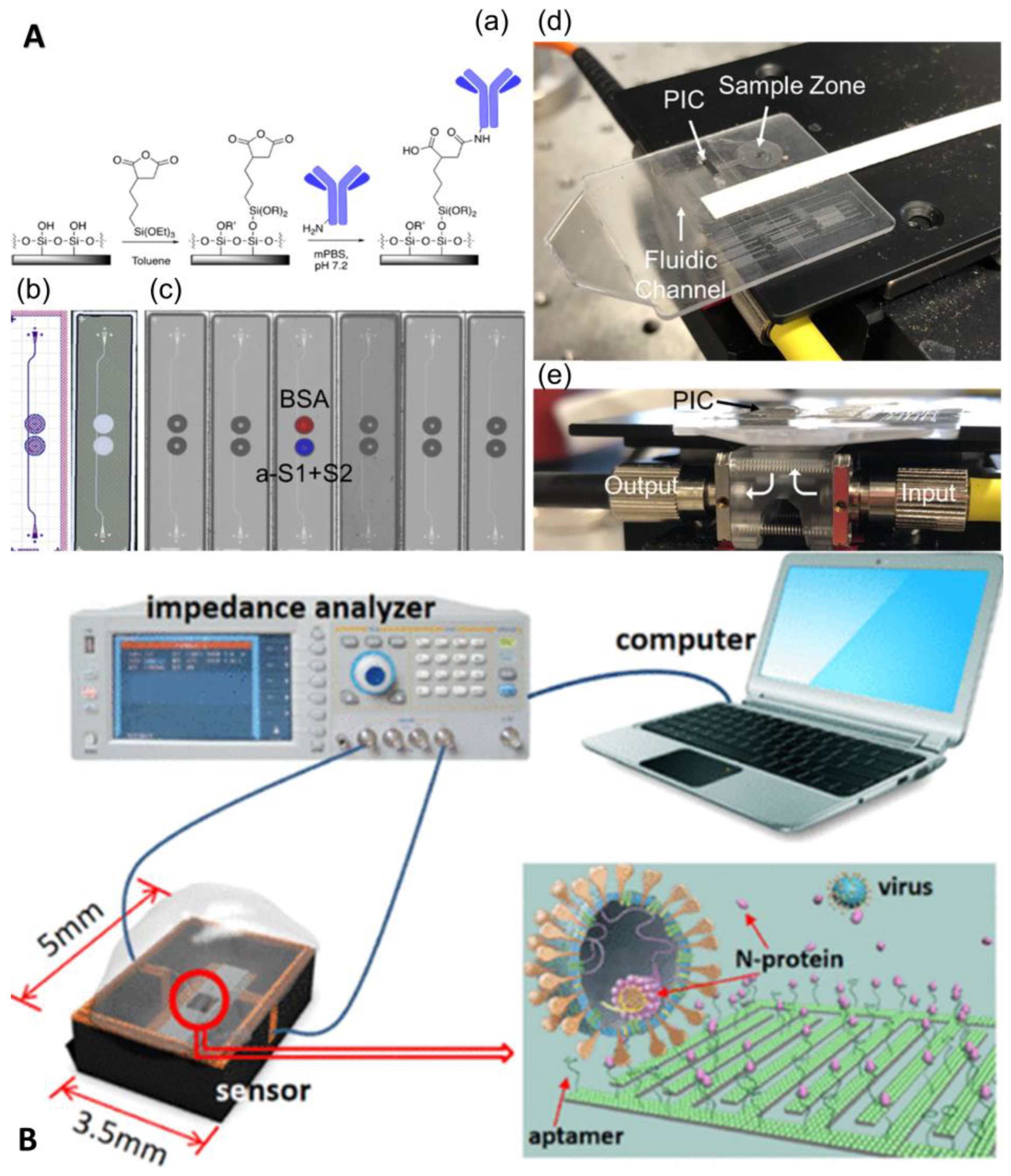 Biosensors 13 00163 g011