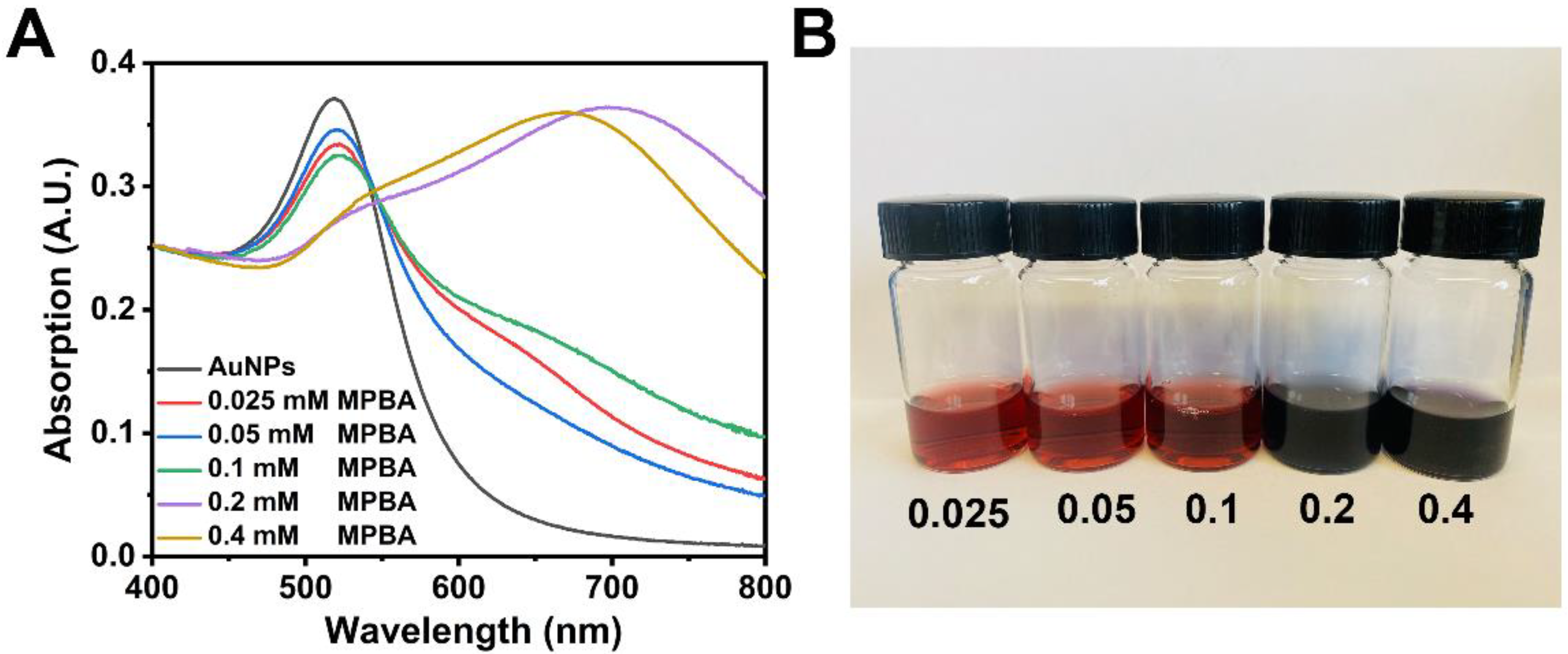 Biosensors 13 00164 g003