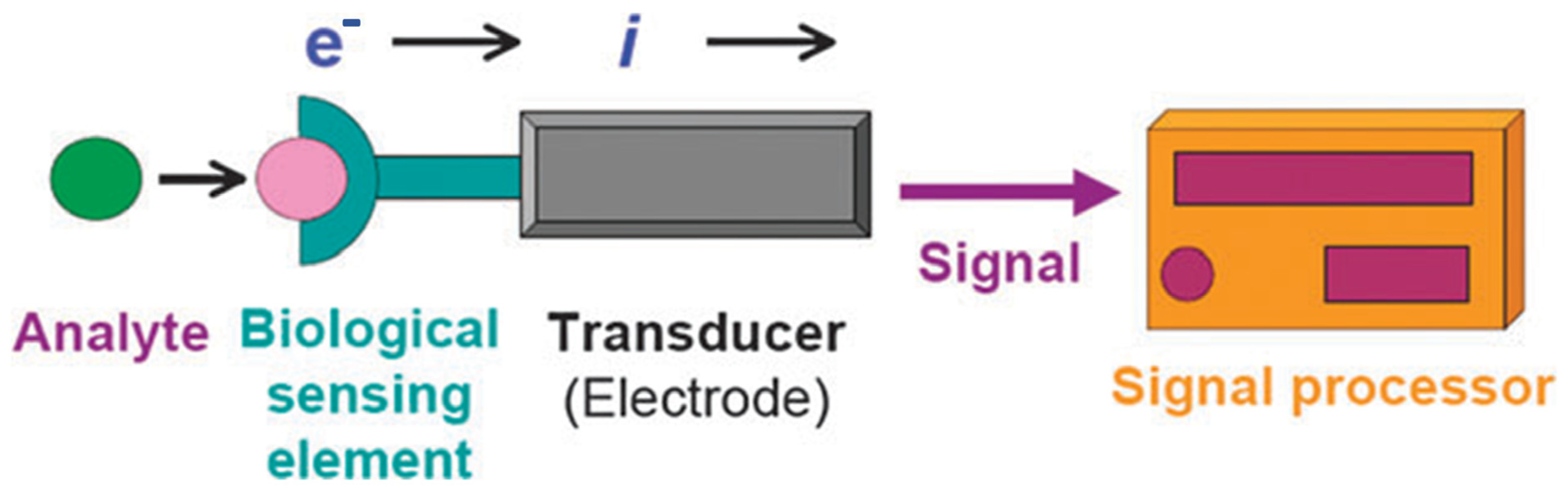 Biosensors 13 00166 g001