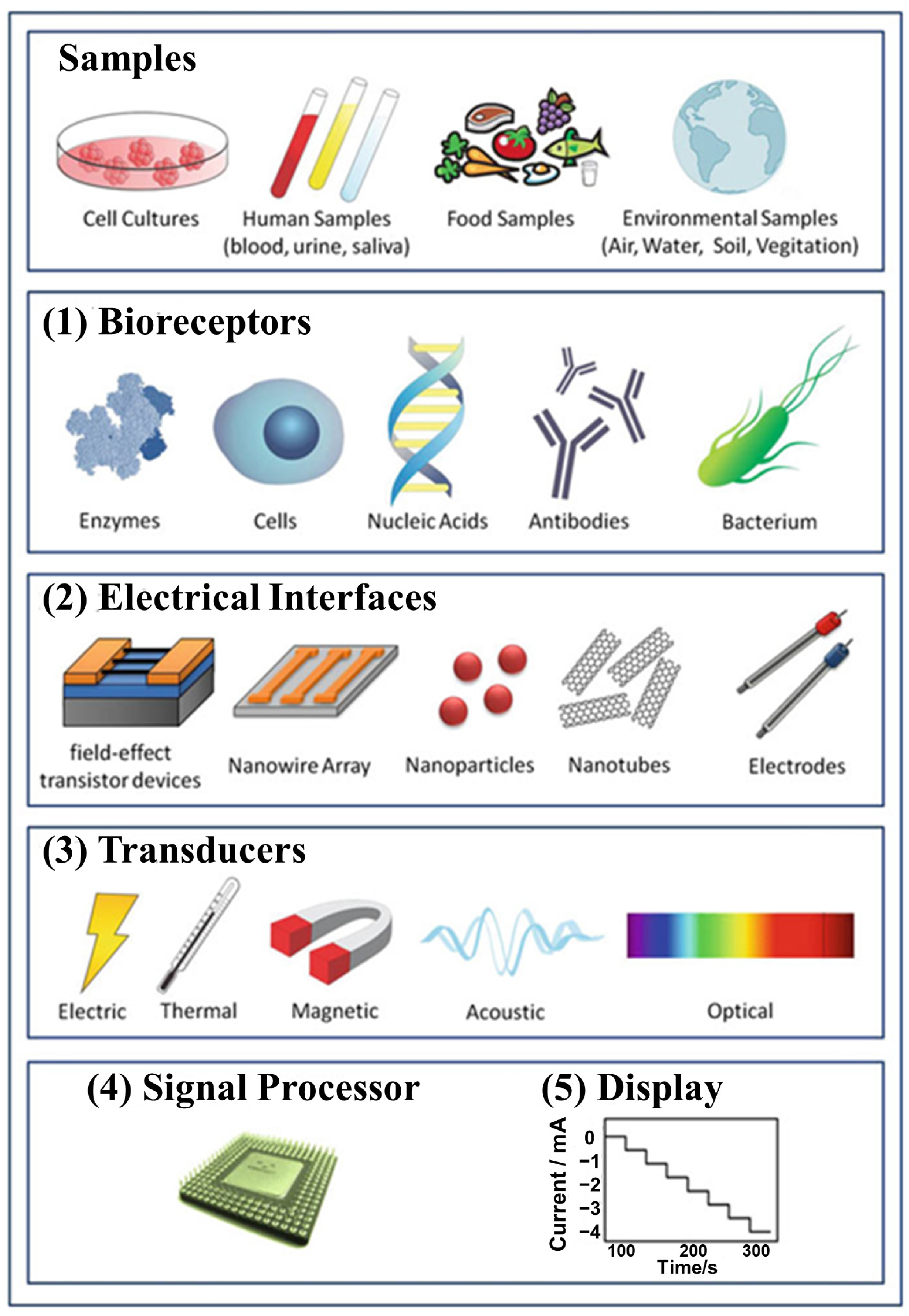Biosensors 13 00166 g002