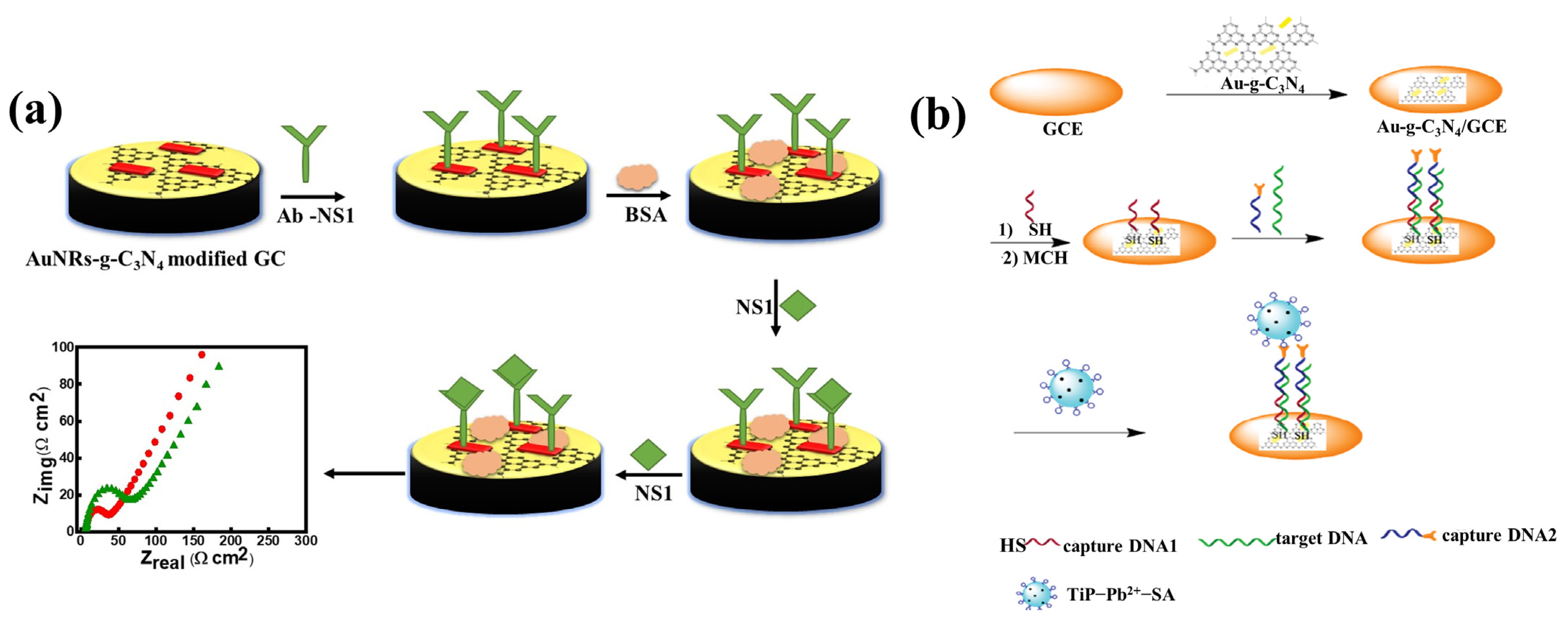 Biosensors 13 00166 g003