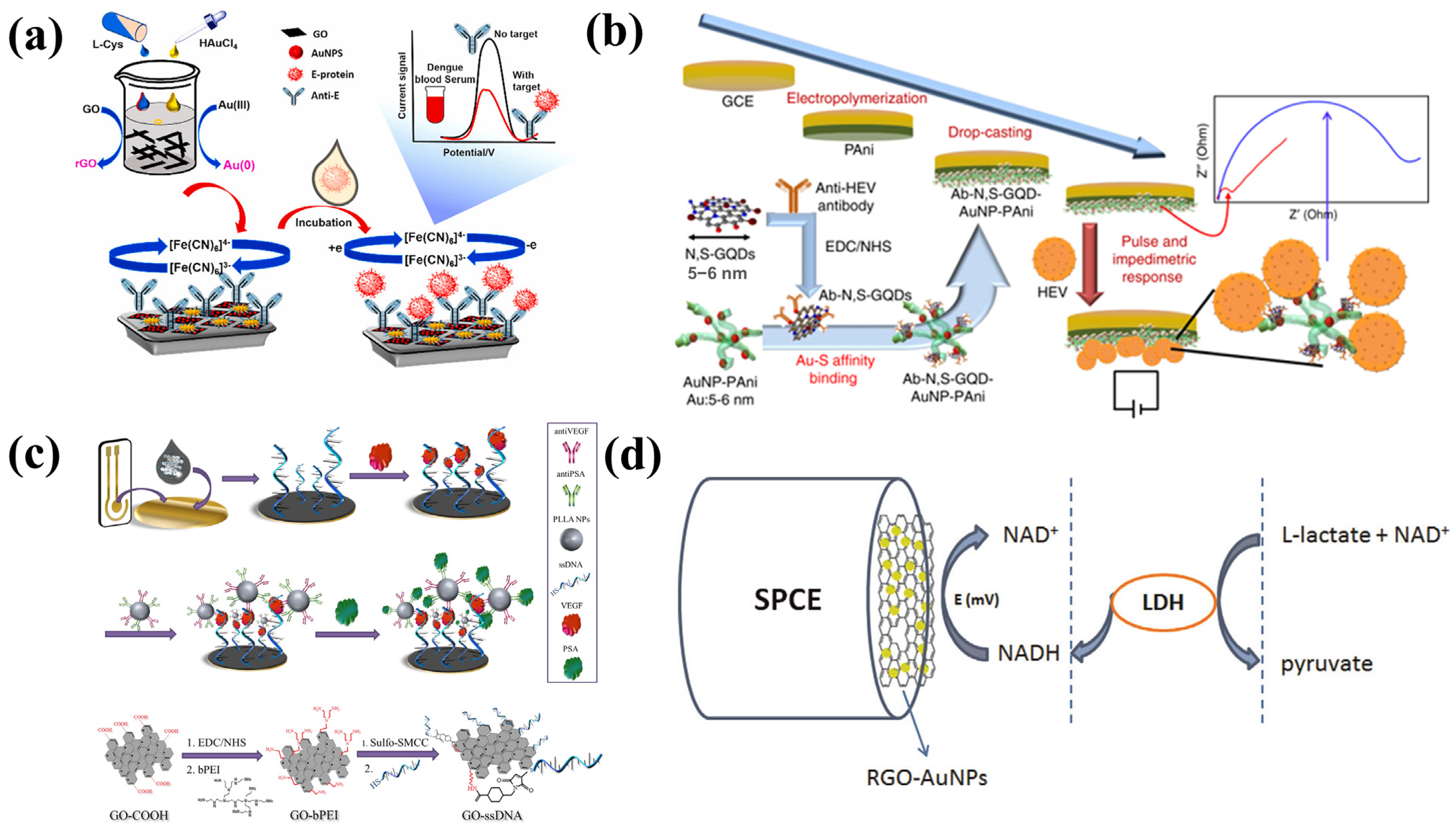 Biosensors 13 00166 g004