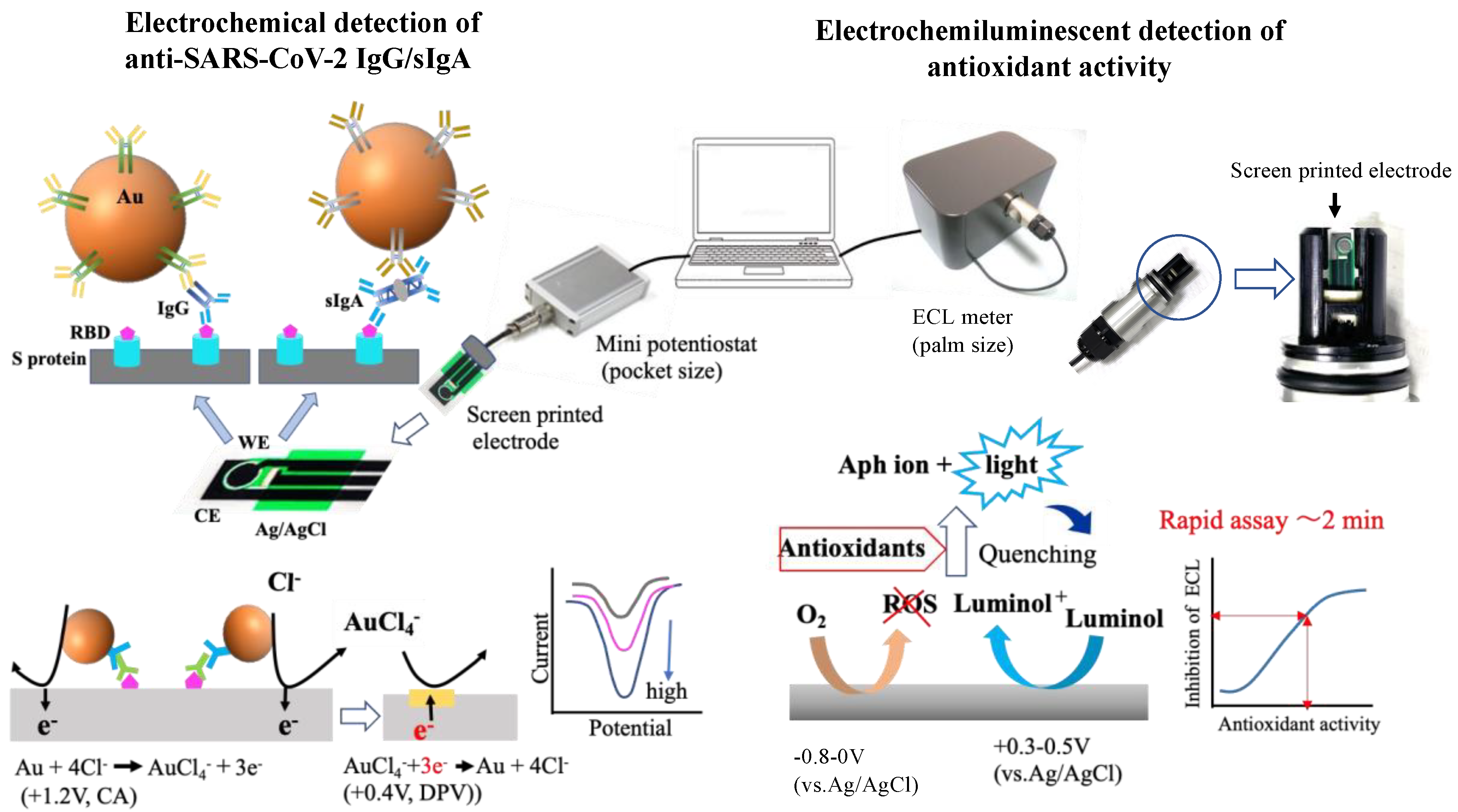 Biosensors 13 00167 sch001