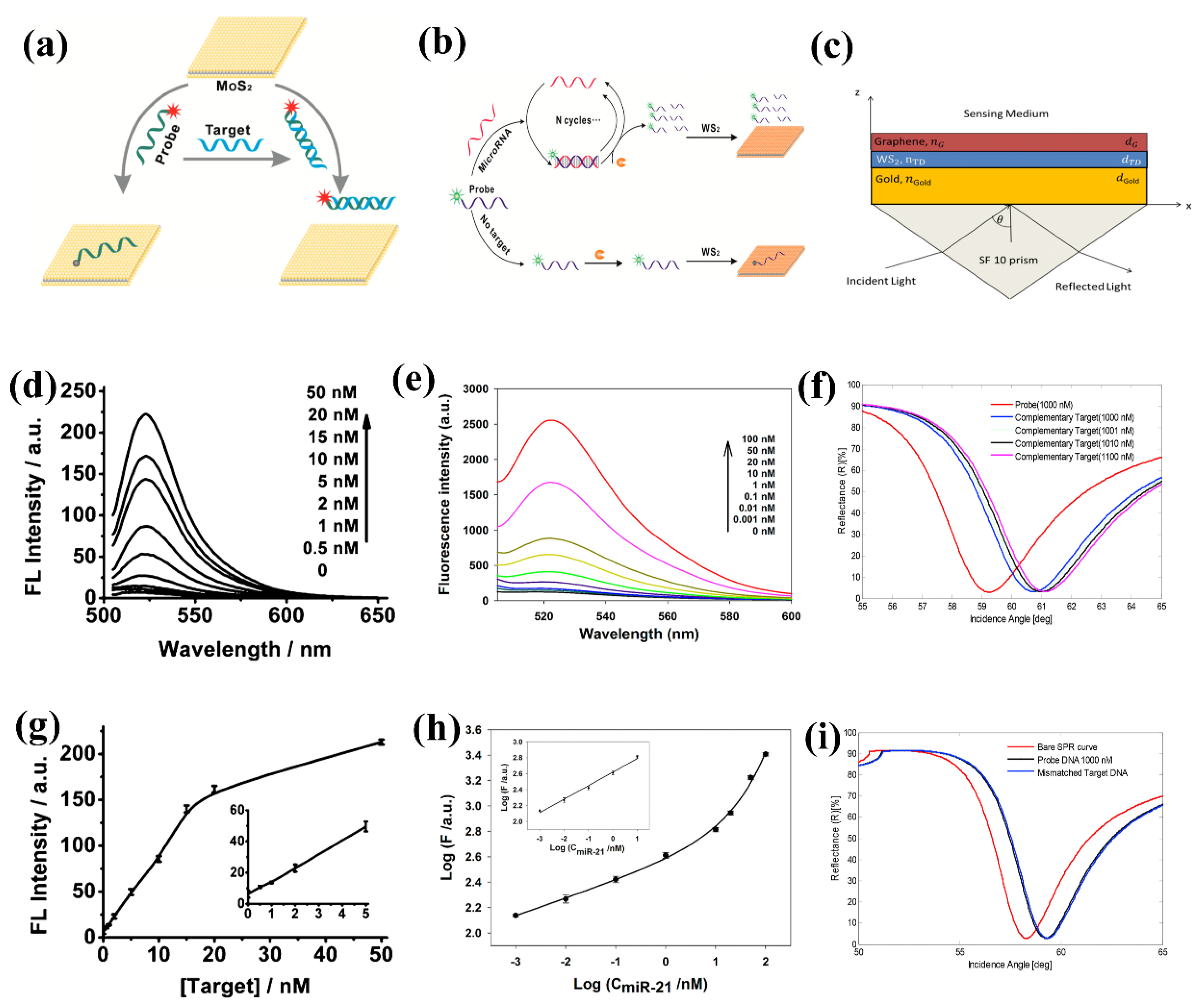 Biosensors 13 00169 g005