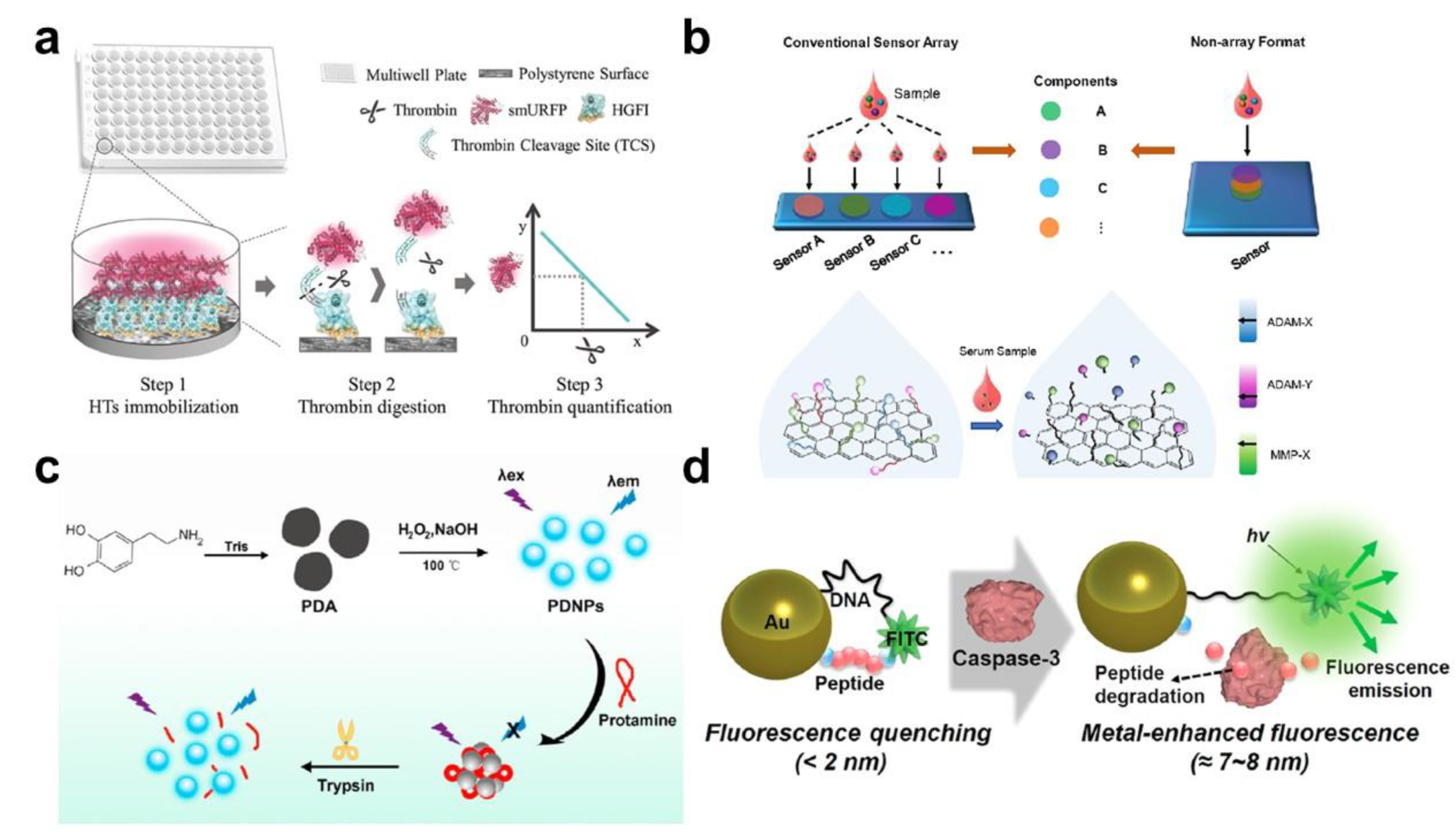 Biosensors 13 00171 g001 Biosensors 13 00171 g001