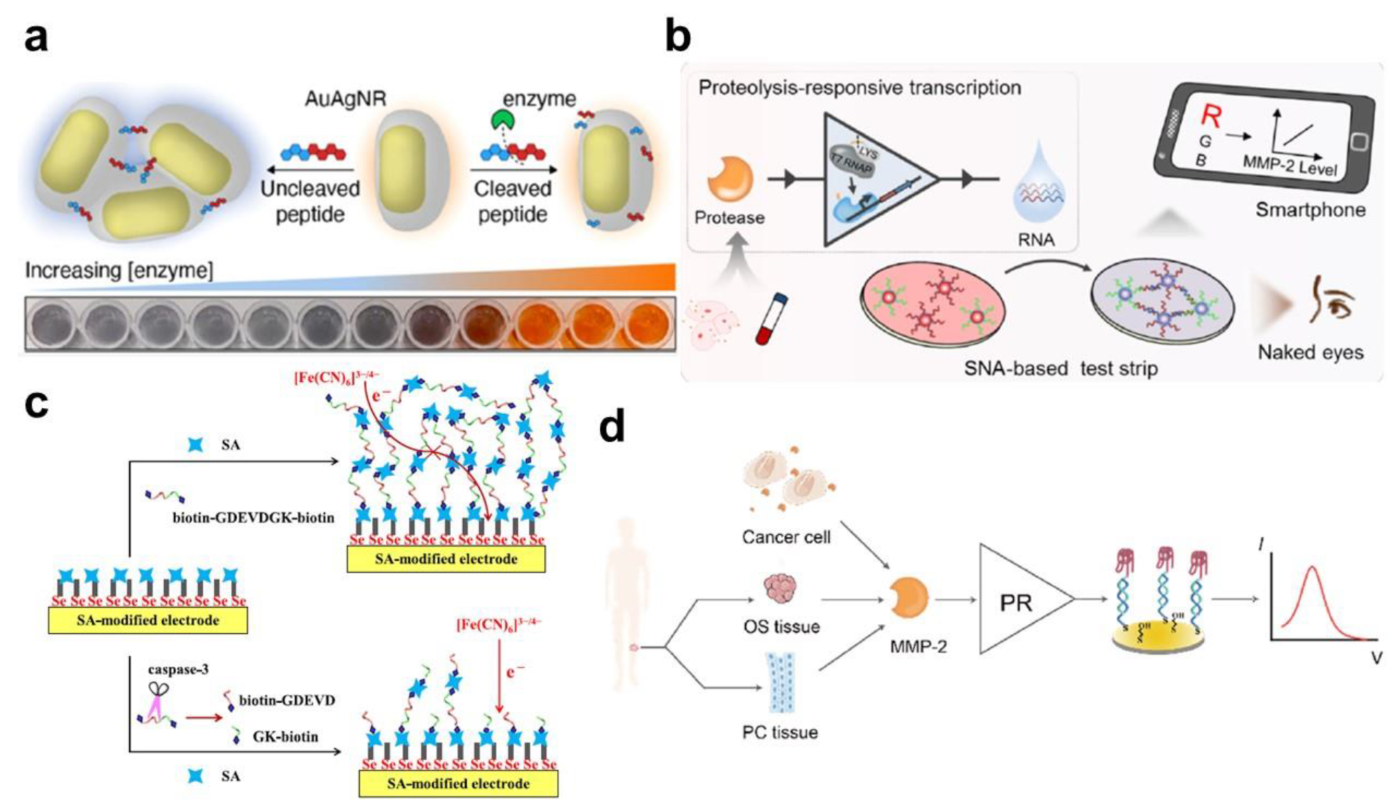 Biosensors 13 00171 g002 Biosensors 13 00171 g002